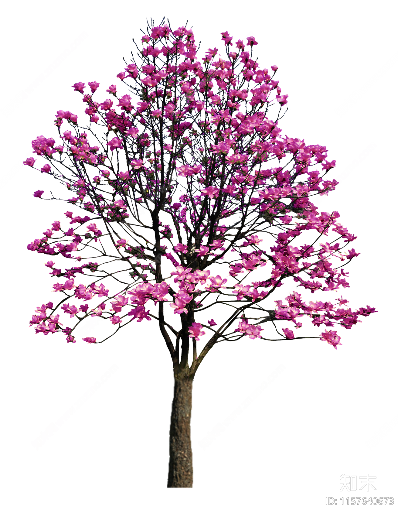 草本花卉设计素材精品下载_知末网