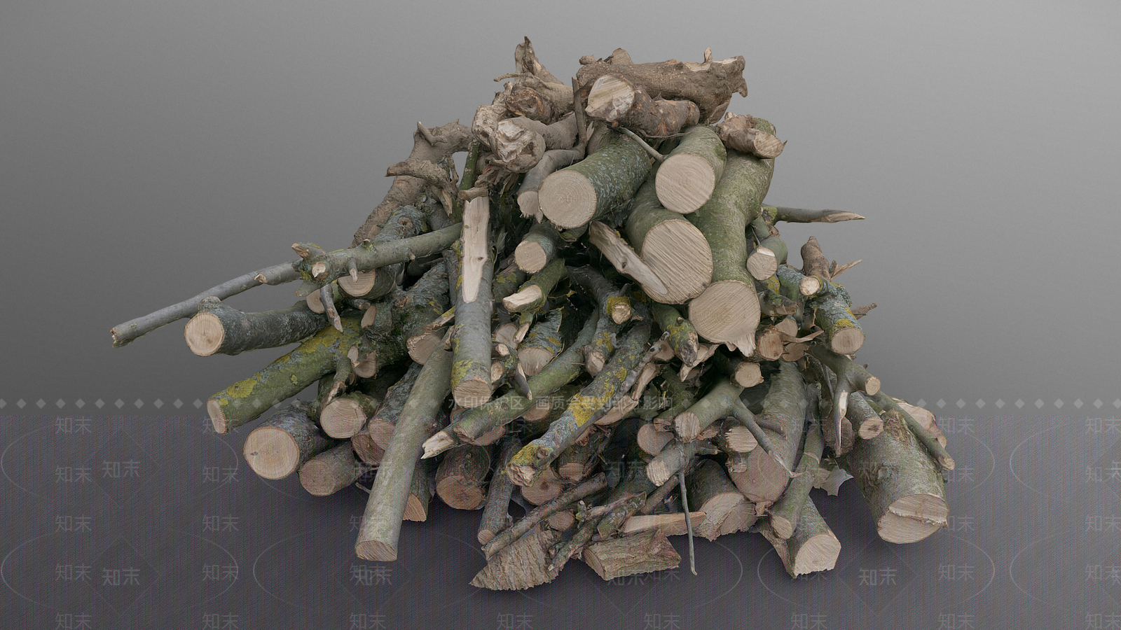 树枝3D模型下载【ID:1157642493】