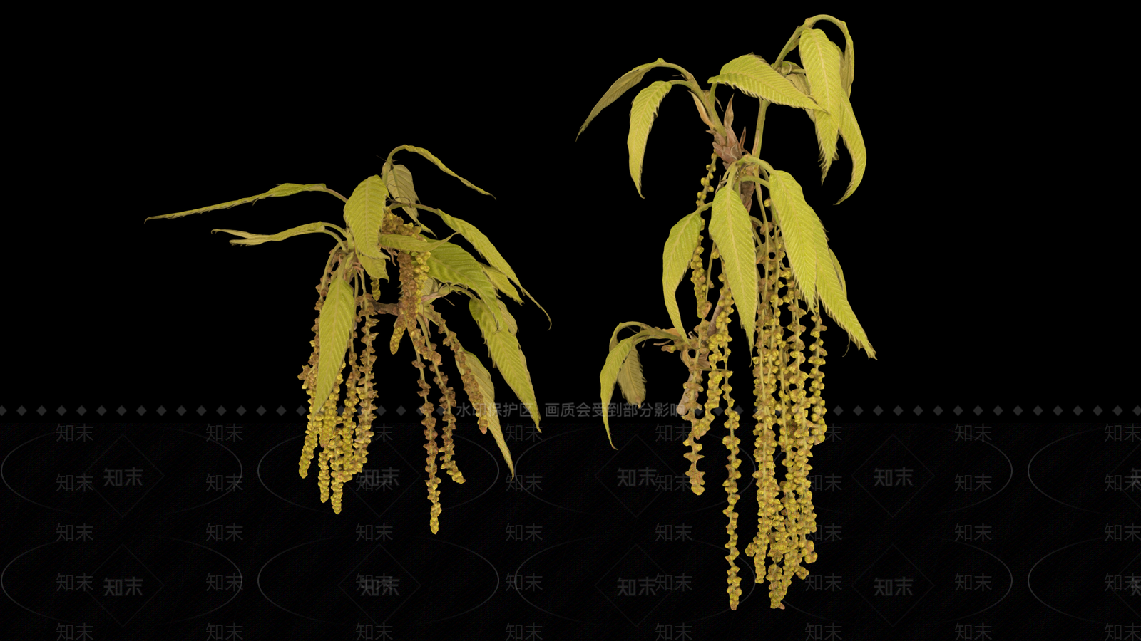 锯齿橡树树枝3D模型下载【ID:1157654635】