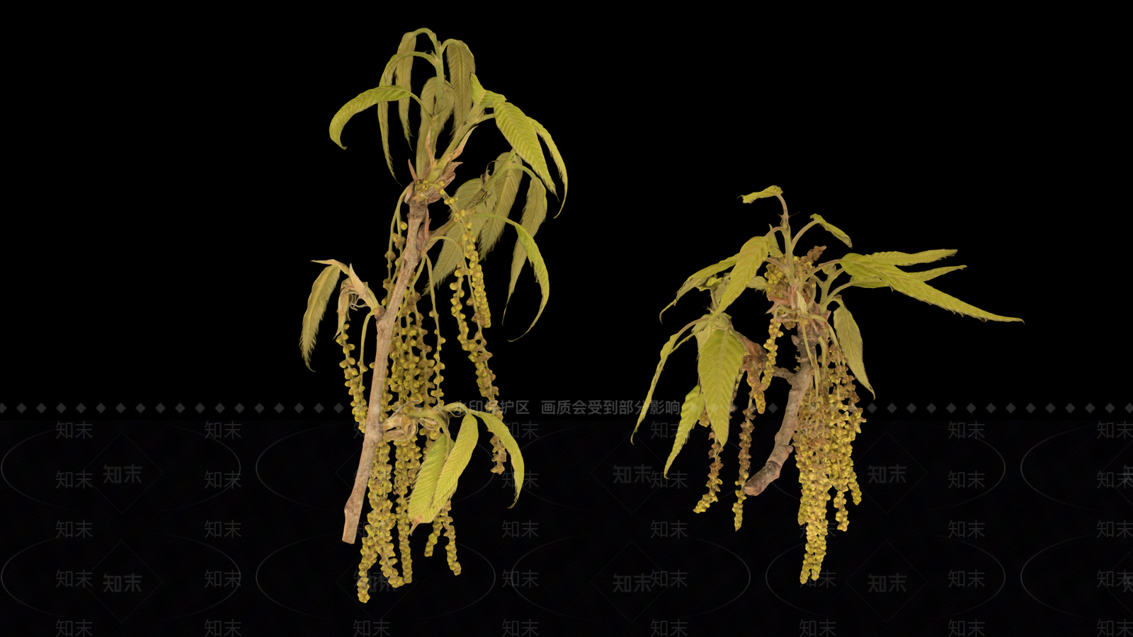 锯齿橡树树枝3D模型下载【ID:1157654635】