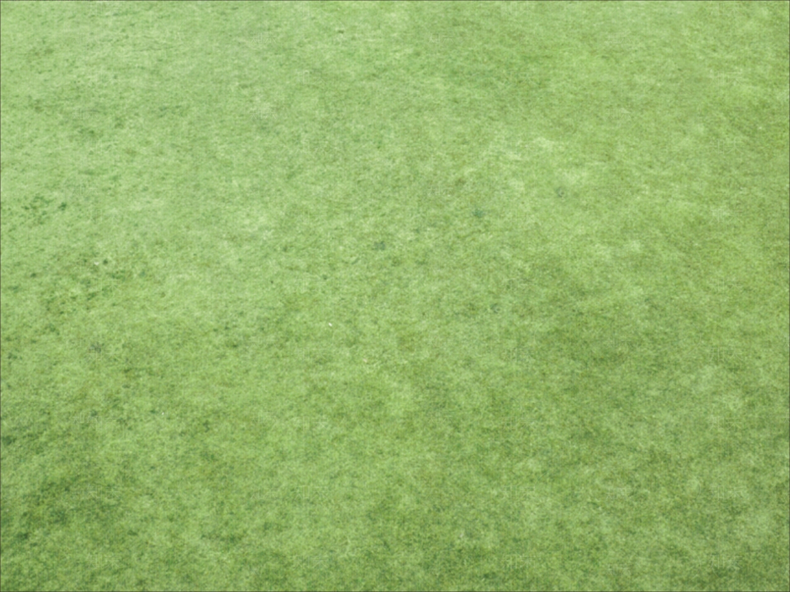 草坪贴图下载【ID:1157670027】