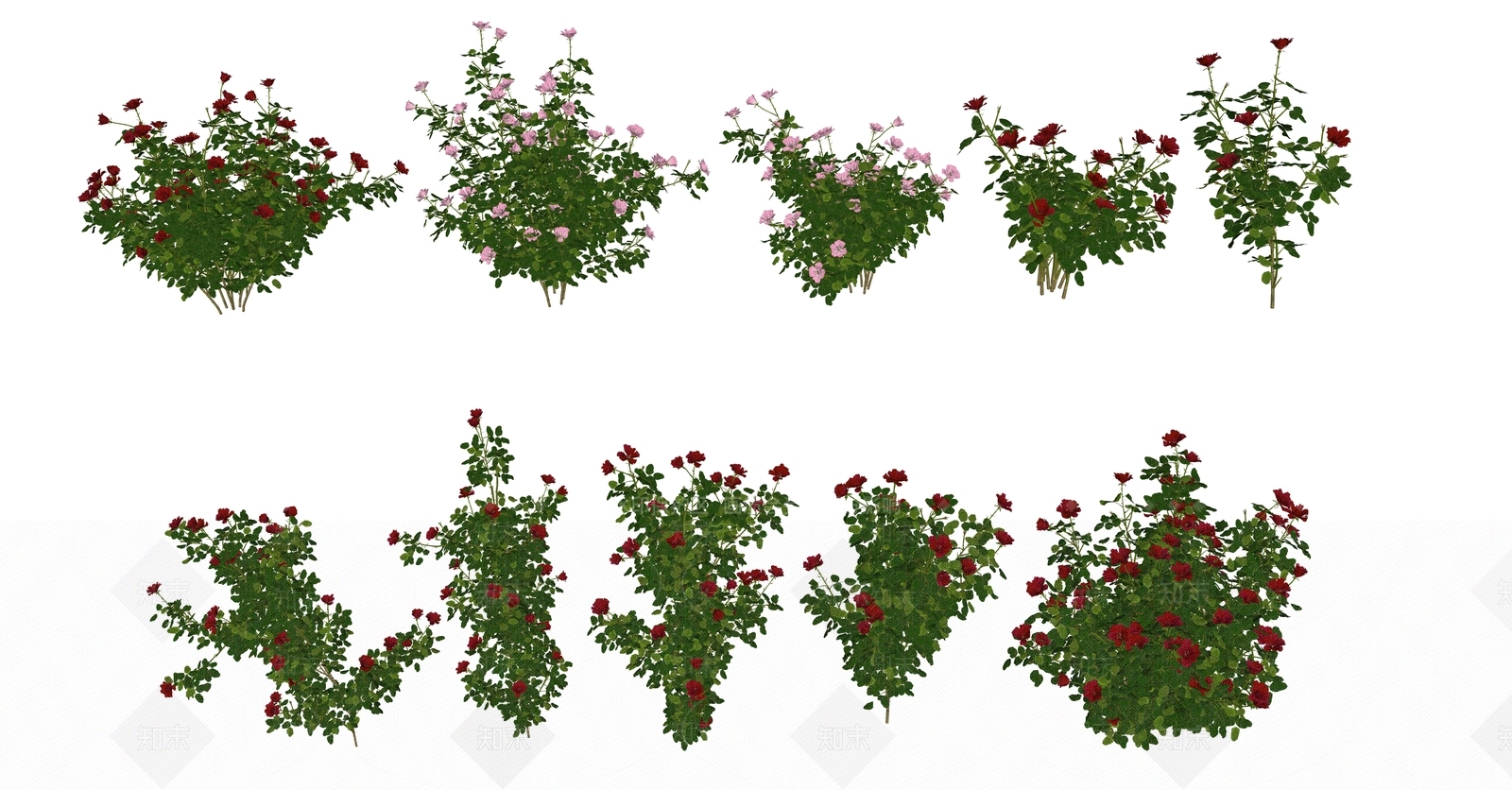 玫瑰花SU模型下载【ID:1157678982】