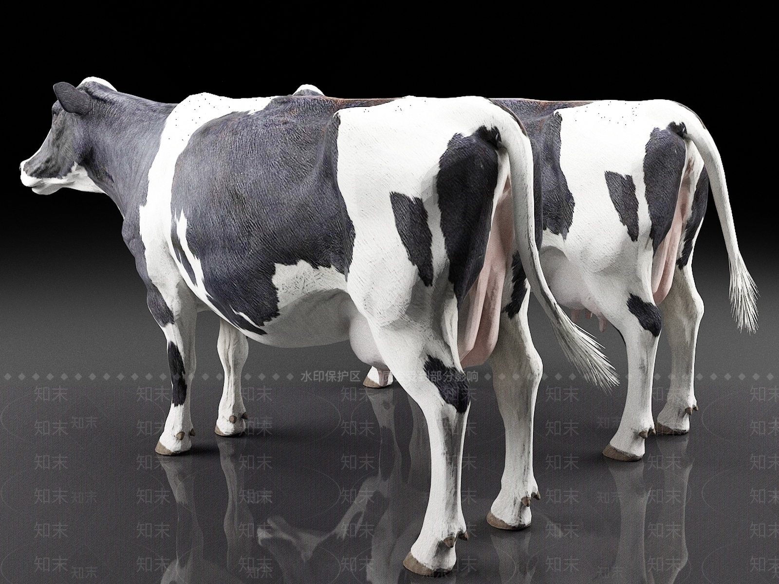 奶牛3D模型下载【ID:1157692629】
