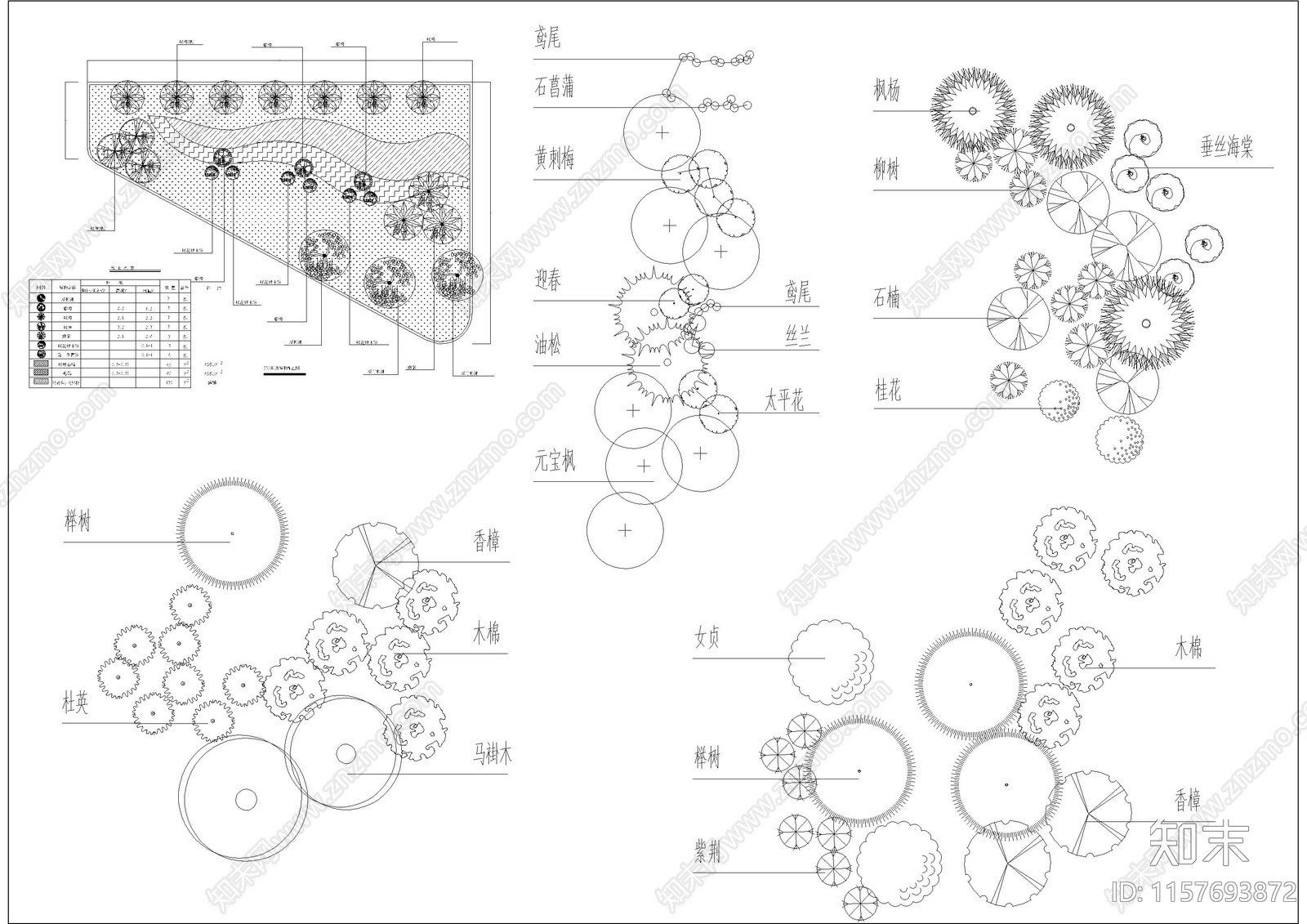 绿化景观植物组团搭配小案施工图下载【ID:1157693872】