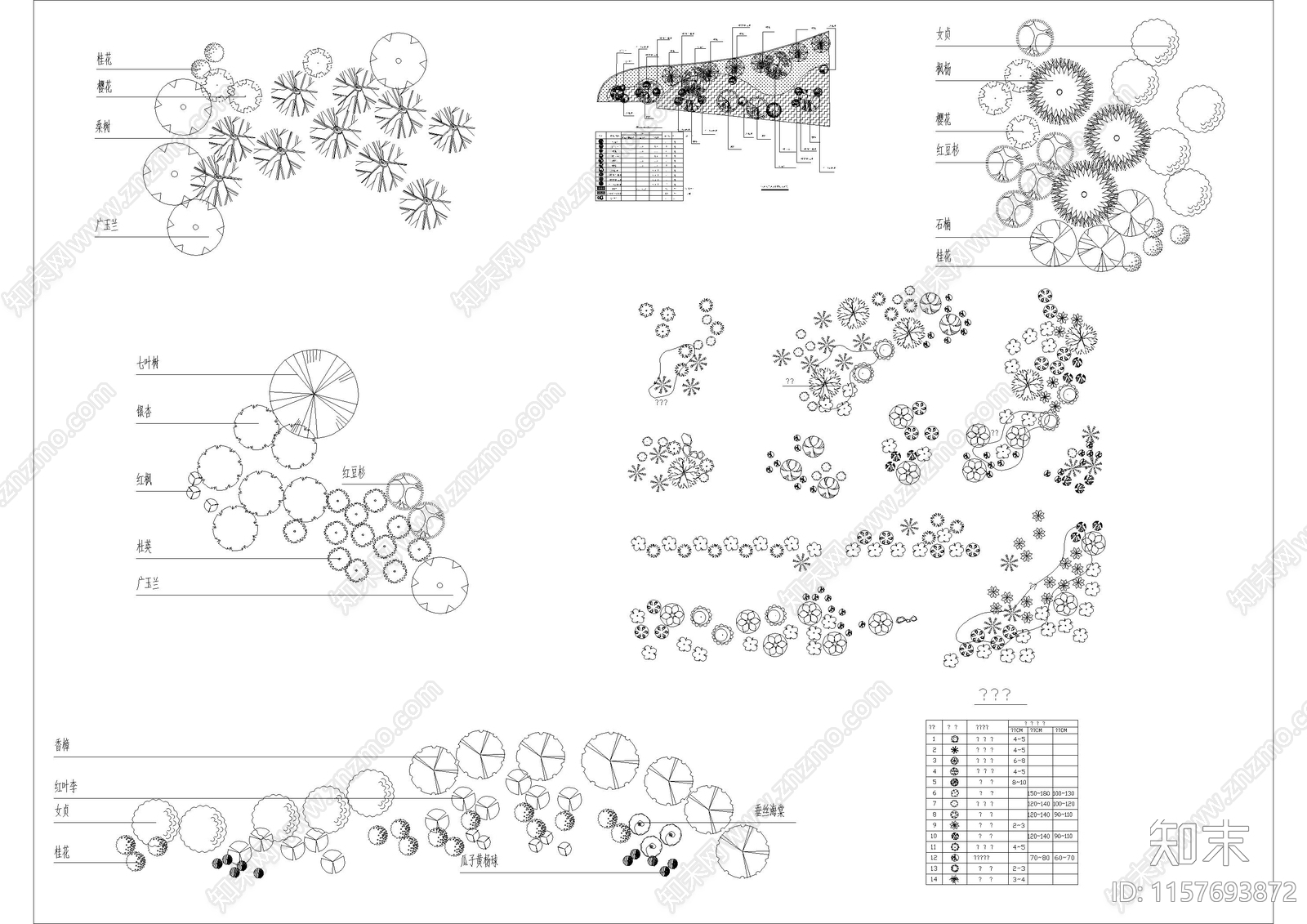 绿化景观植物组团搭配小案施工图下载【ID:1157693872】
