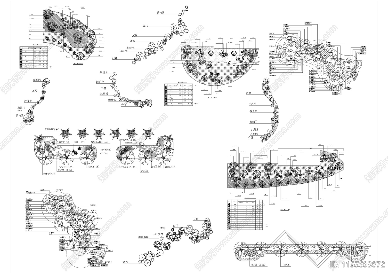 绿化景观植物组团搭配小案施工图下载【ID:1157693872】