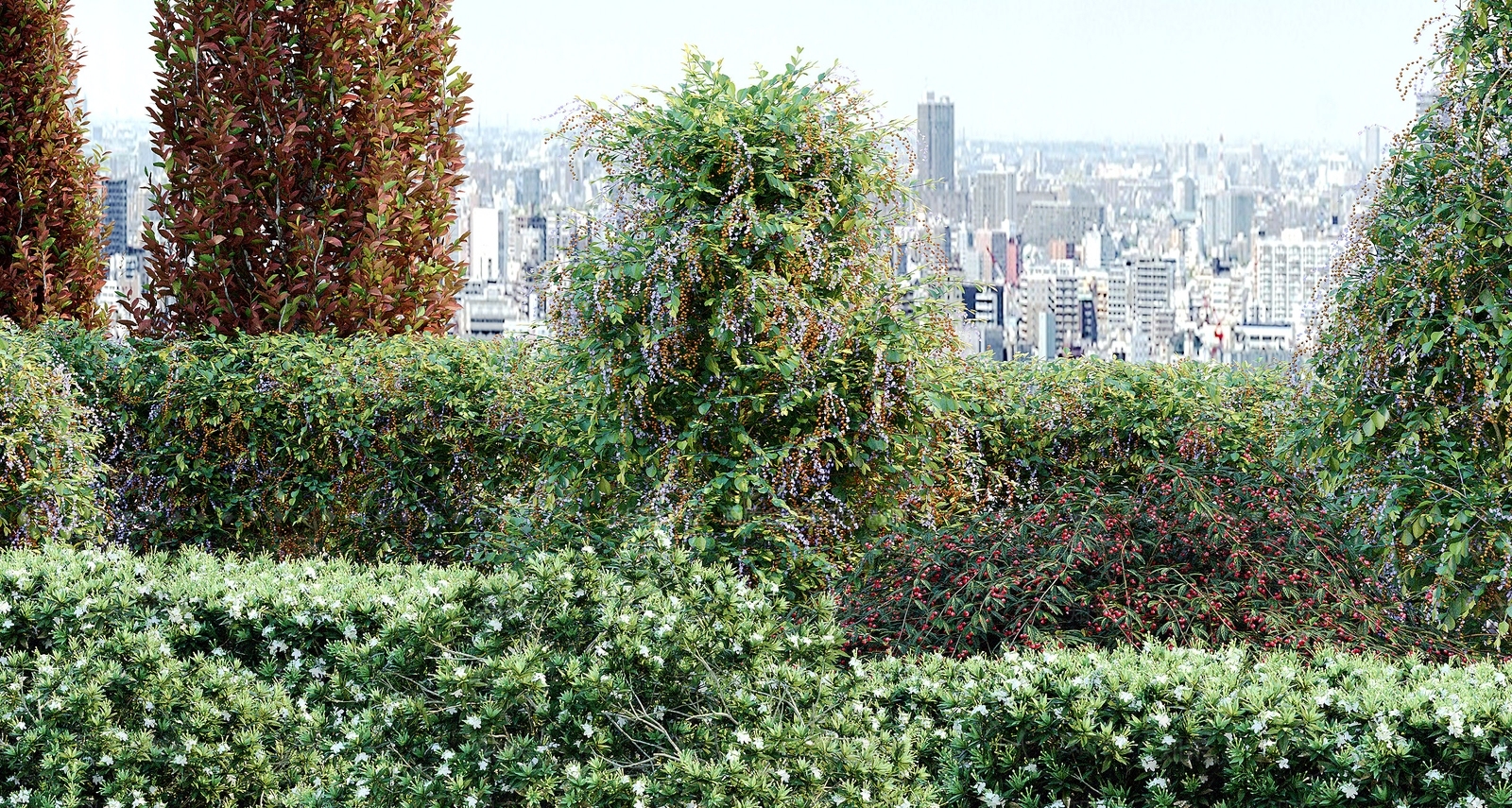 现代植物盆栽3D模型下载【ID:1157694945】