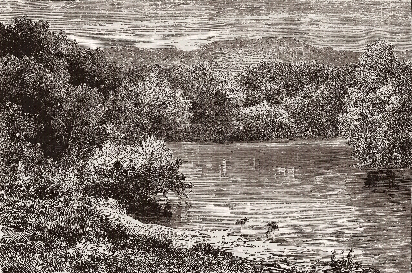 线描风景装饰画墙布壁纸壁画贴图下载【ID:1157716578】