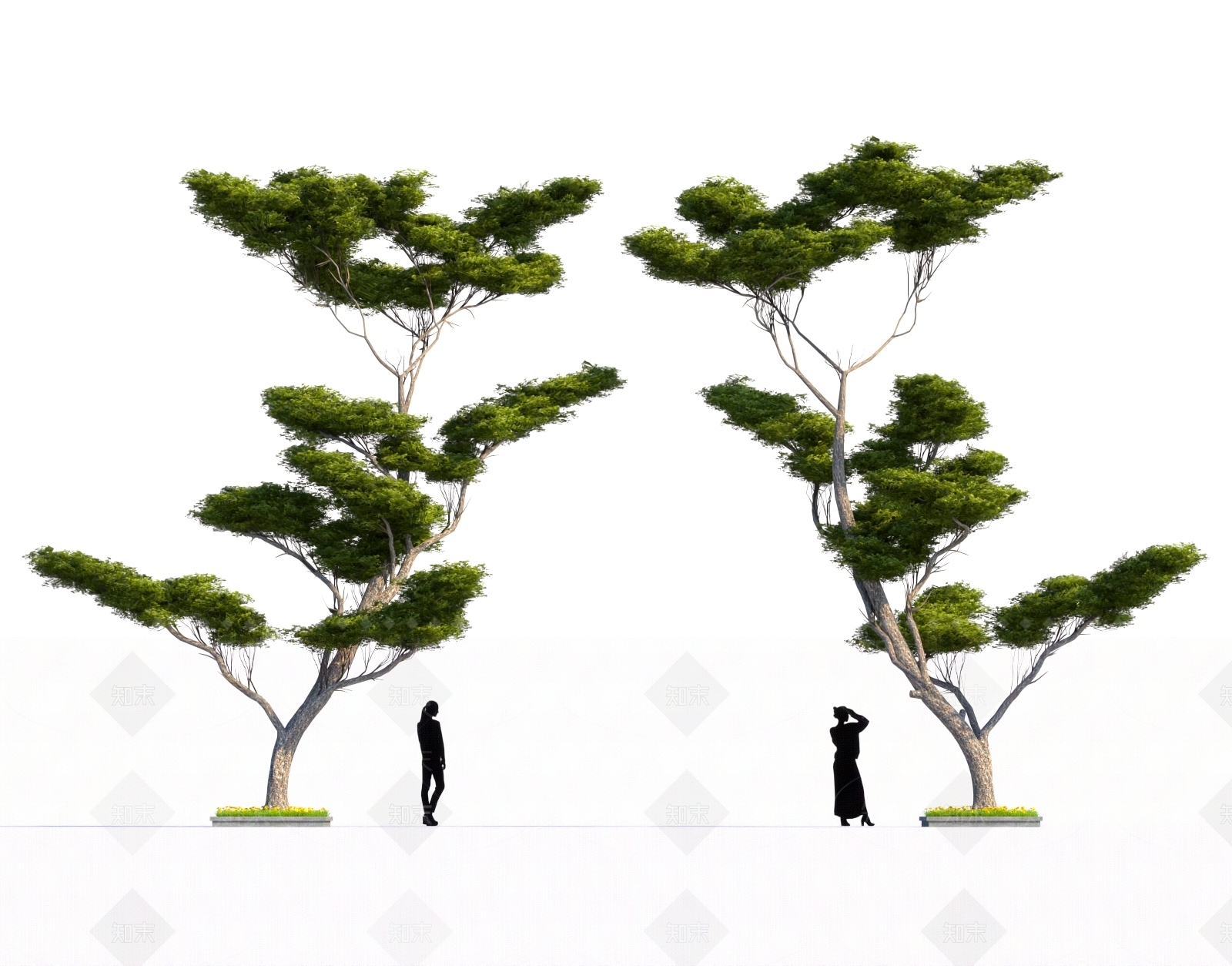 古树3D模型下载【ID:1157718178】