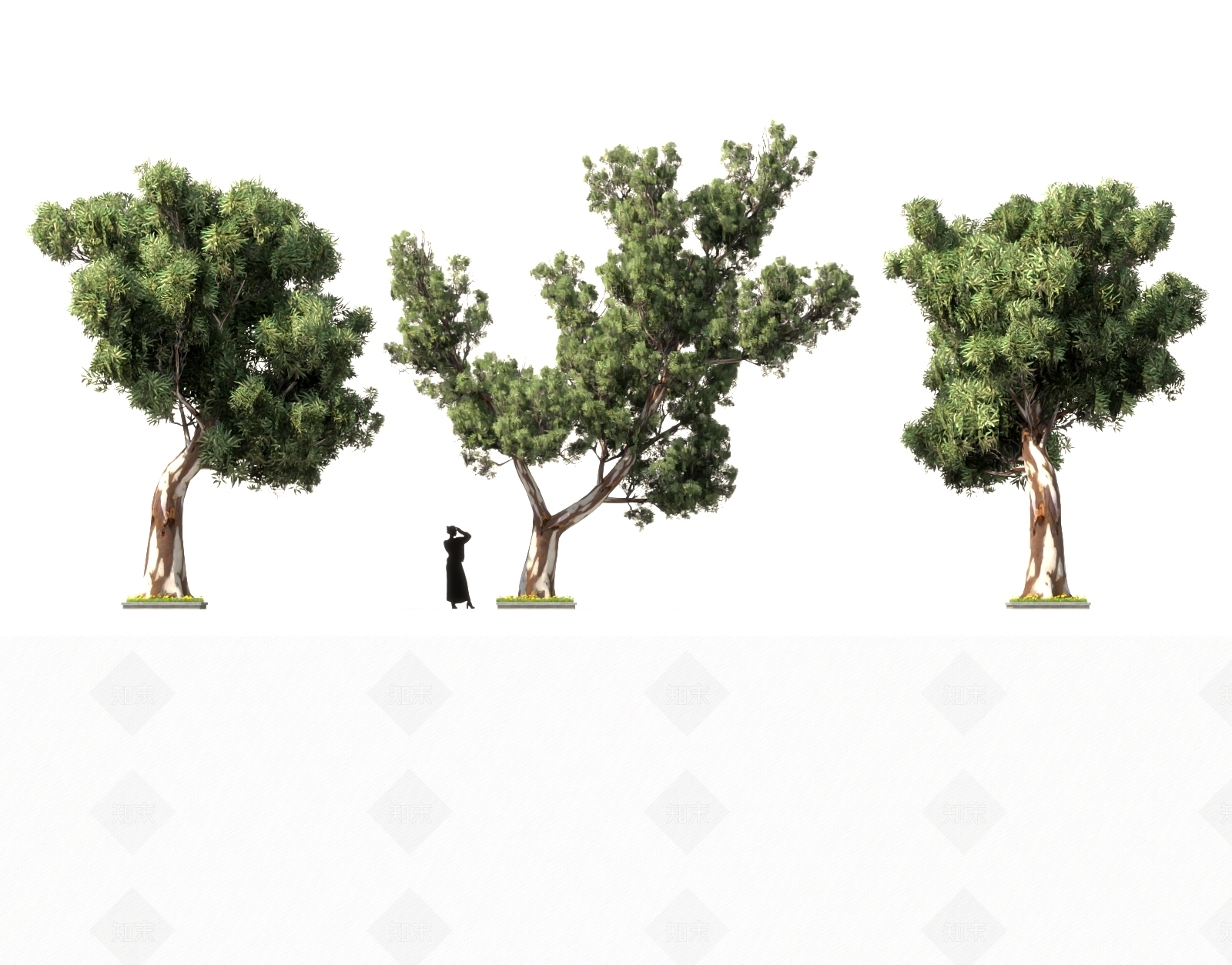 中式古树3D模型下载【ID:1157725827】