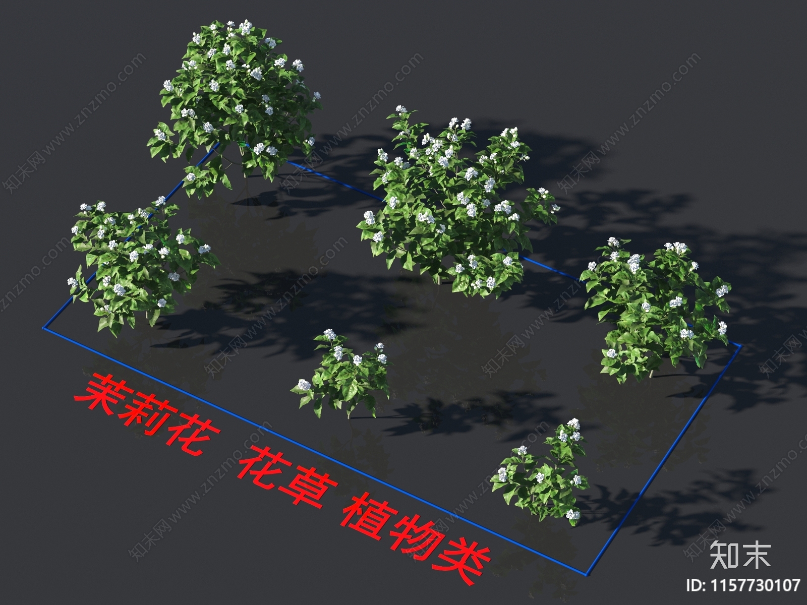 茉莉花3D模型下载【ID:1157730107】