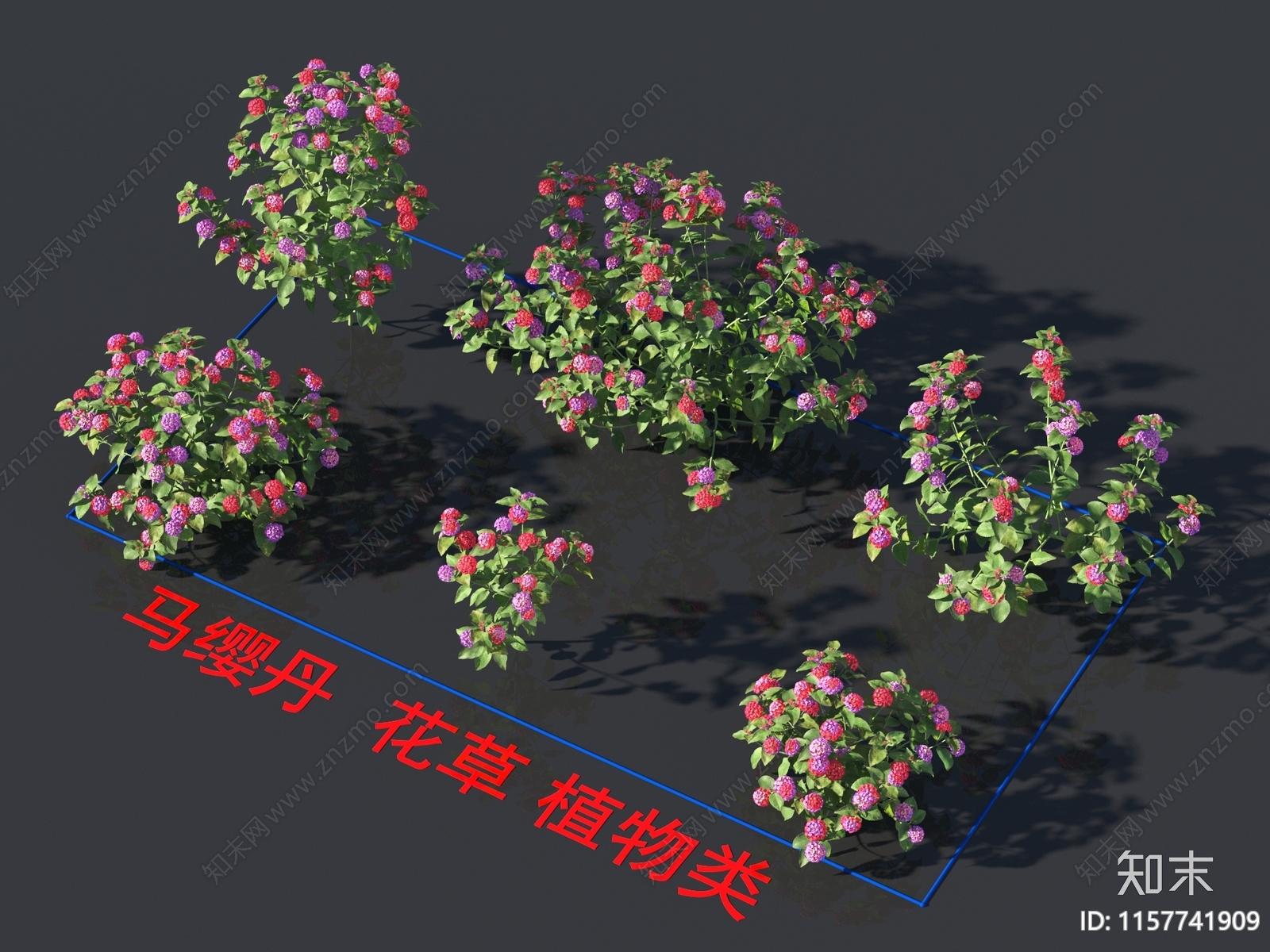 马缨丹3D模型下载【ID:1157741909】