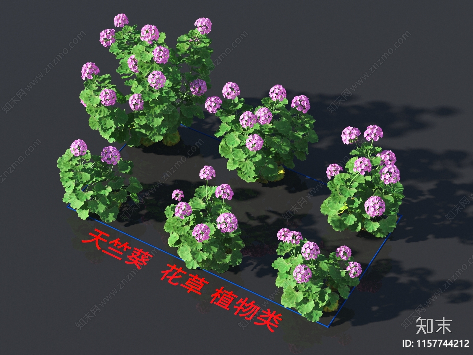 天竺葵3D模型下载【ID:1157744212】