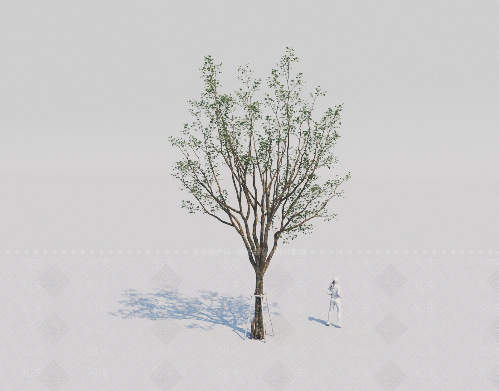 乔木3D模型下载【ID:1157757085】