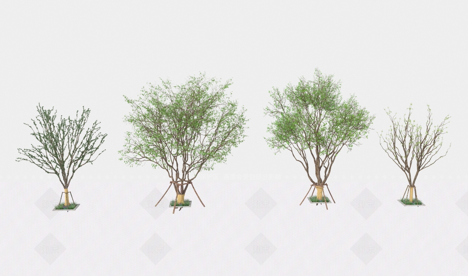 乔木3D模型下载【ID:1157758296】