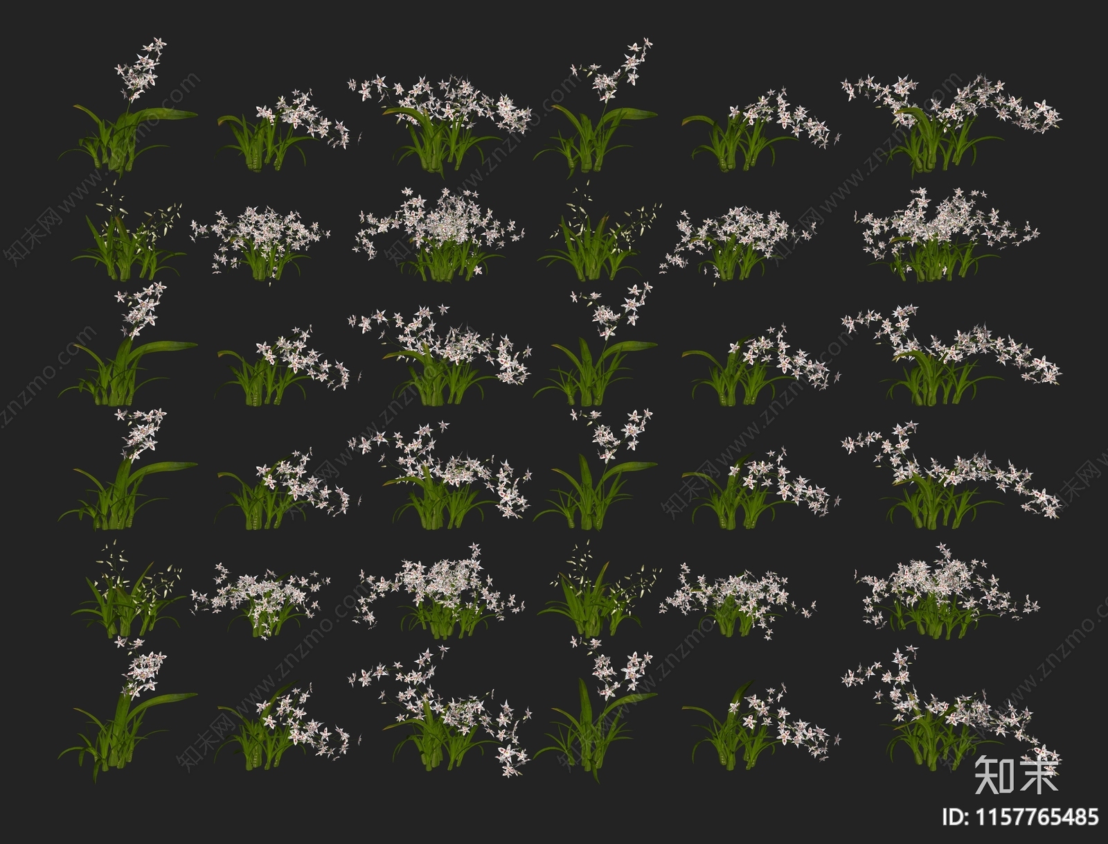 现代齿舌兰花草花卉灌木组合SU模型下载【ID:1157765485】