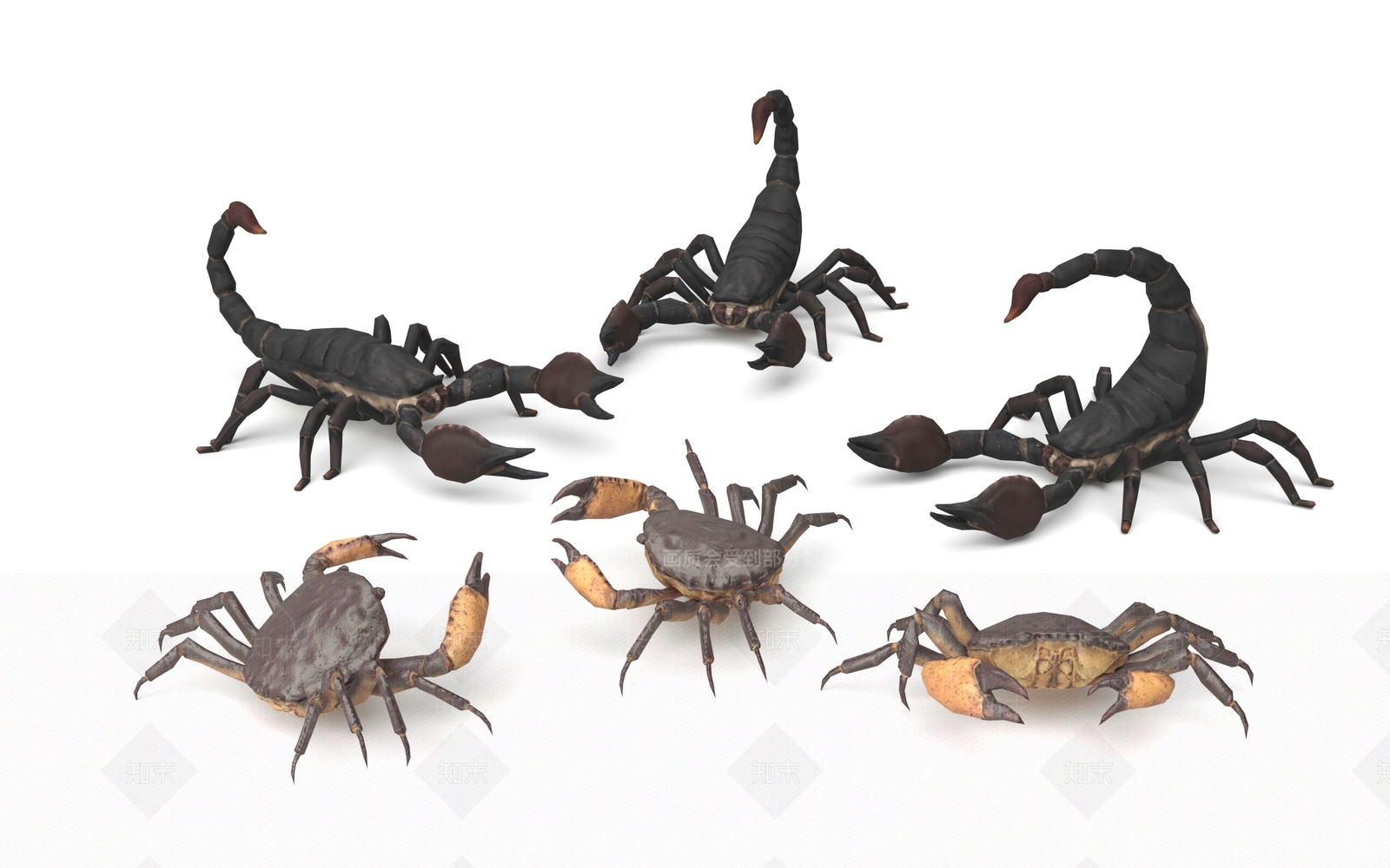 螃蟹3D模型下载【ID:1157784265】