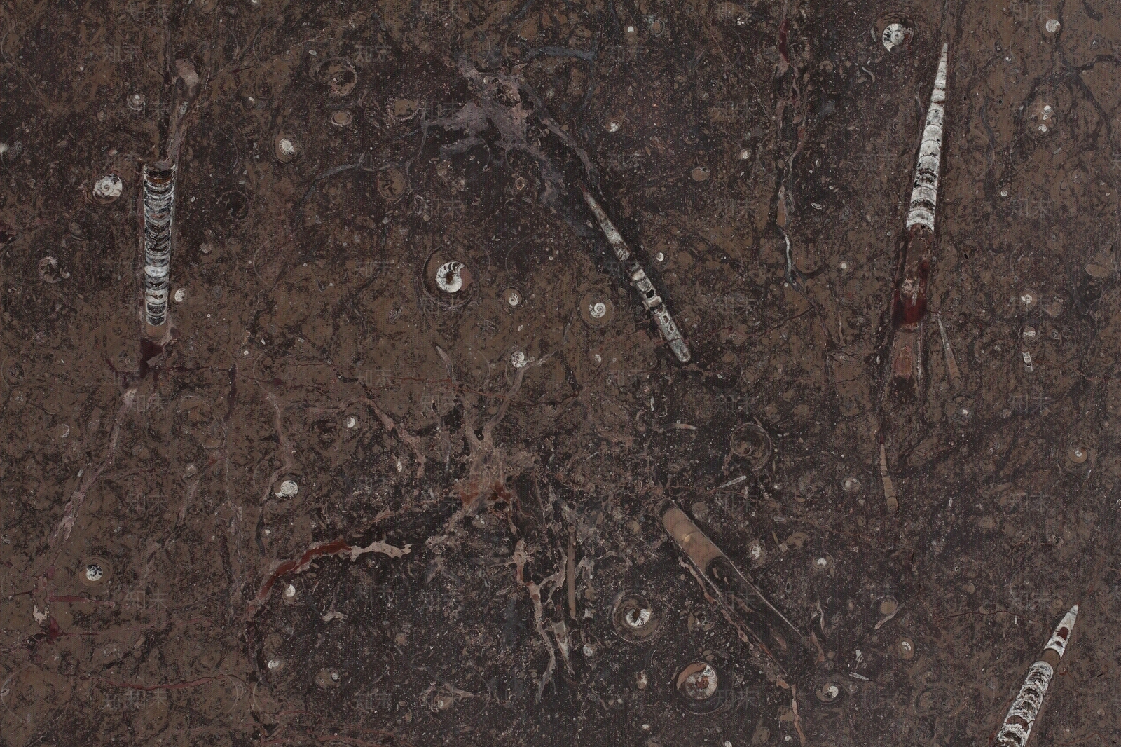 五月棕奢石贴图下载【ID:1157788832】