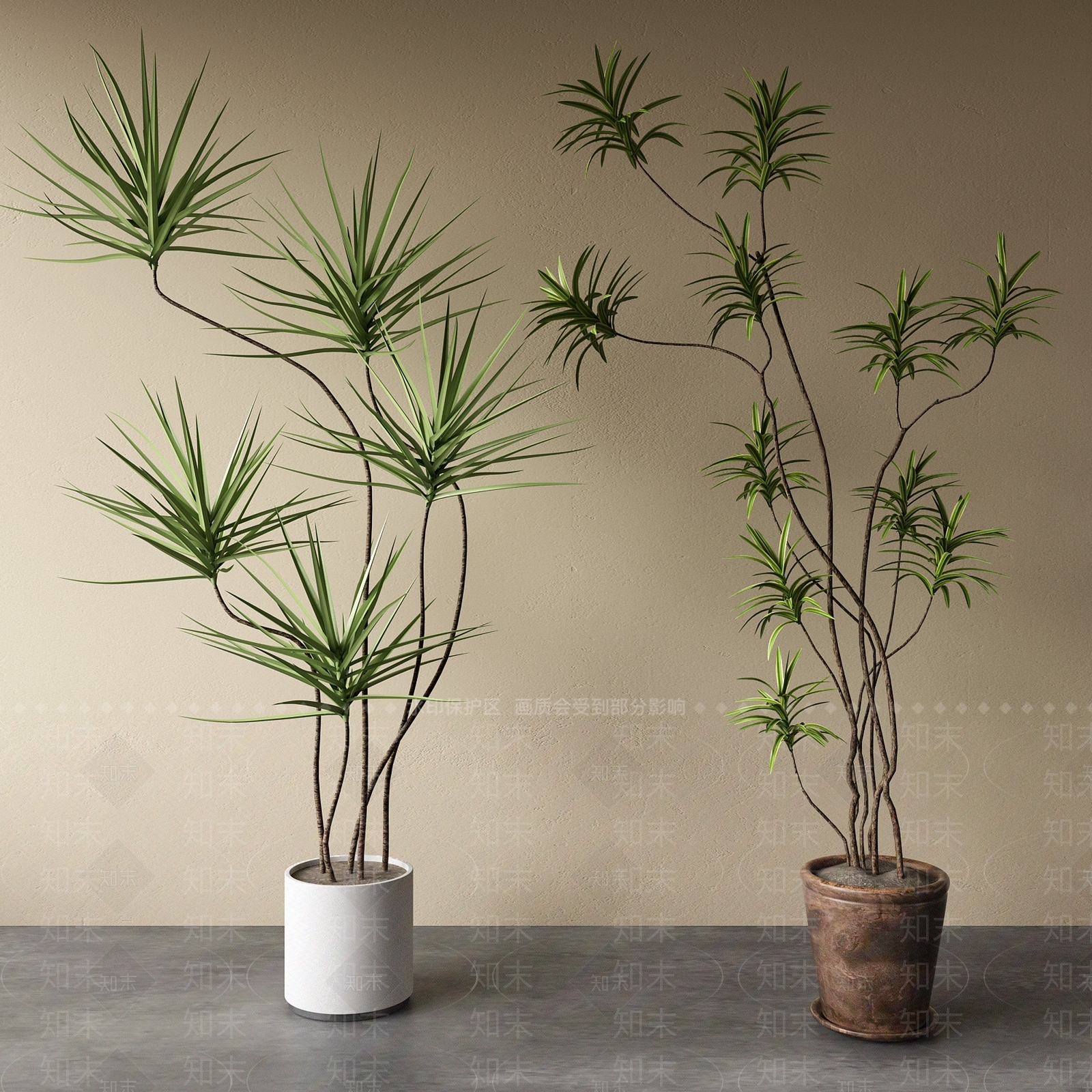 2D绿植盆栽SU模型下载【ID:1157829594】