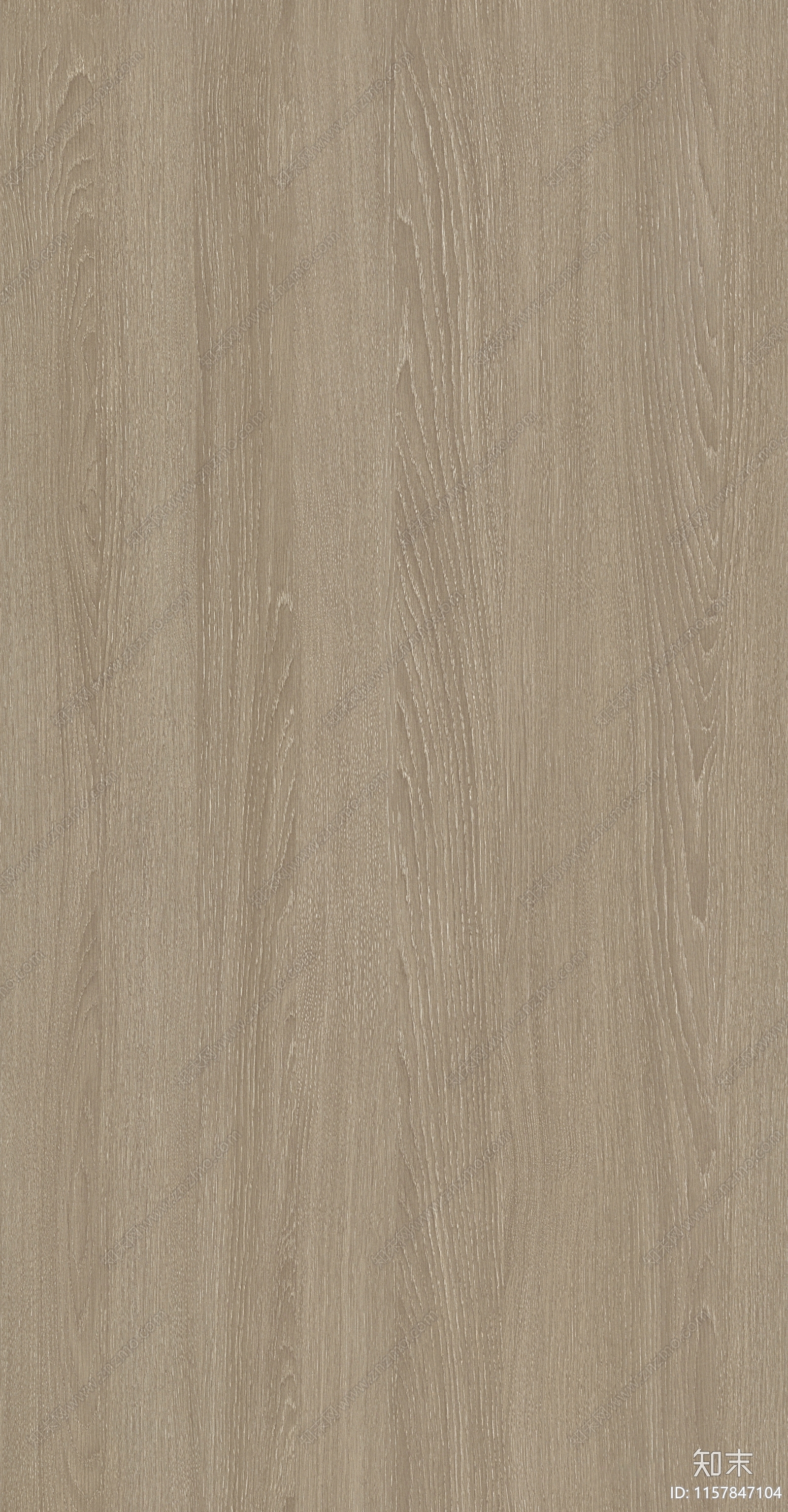 无缝琥珀棕橡贴图下载【ID:1157847104】