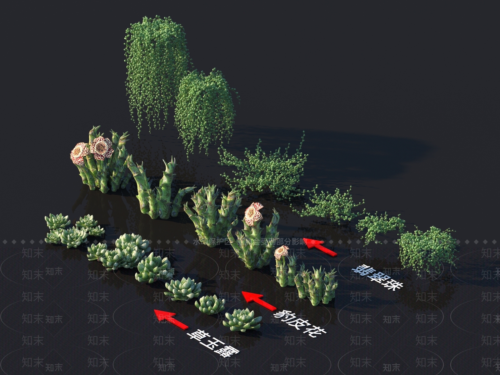 豹皮花3D模型下载【ID:1157862623】