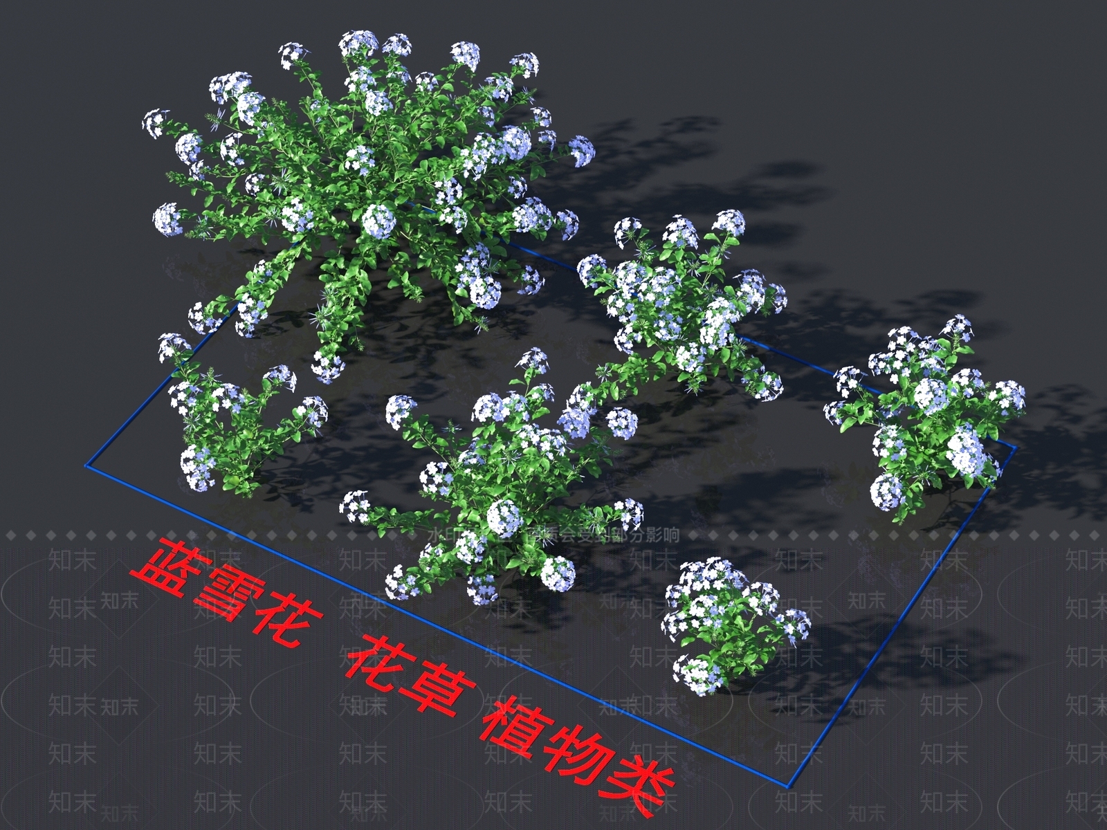 蓝雪花3D模型下载【ID:1157863755】