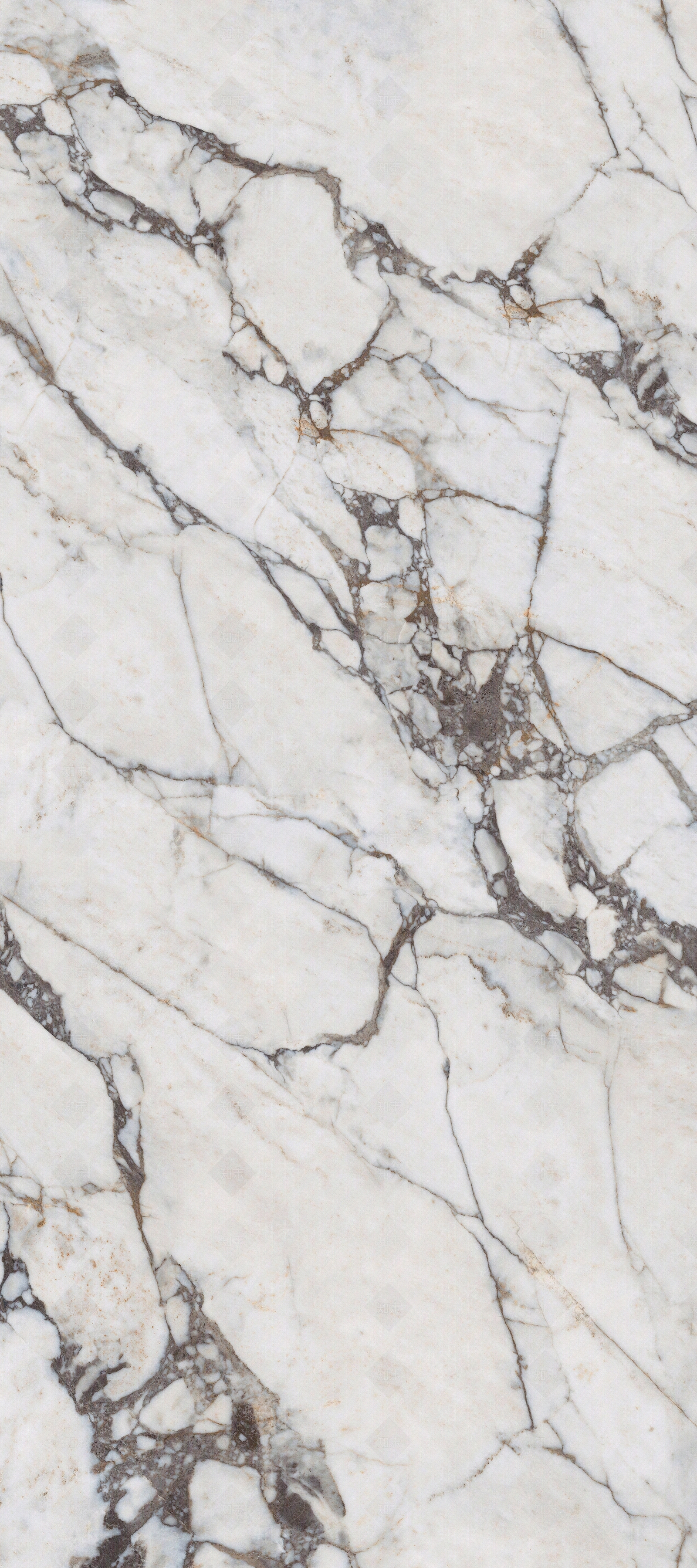 KITO金意陶宝丽紫干粒亮光面白色大理石贴图下载【ID:1157888942】