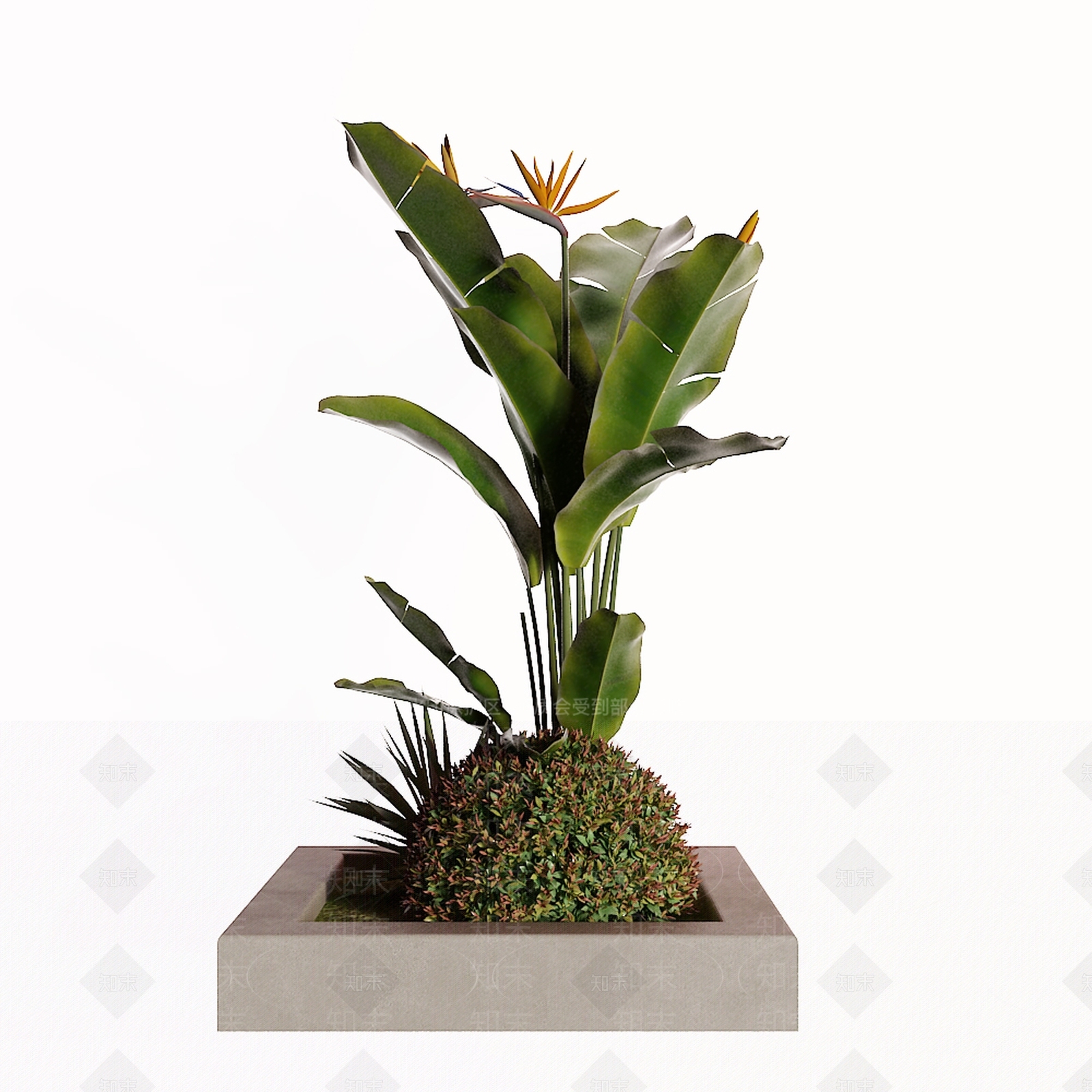现代灌木3D模型下载【ID:1157898981】