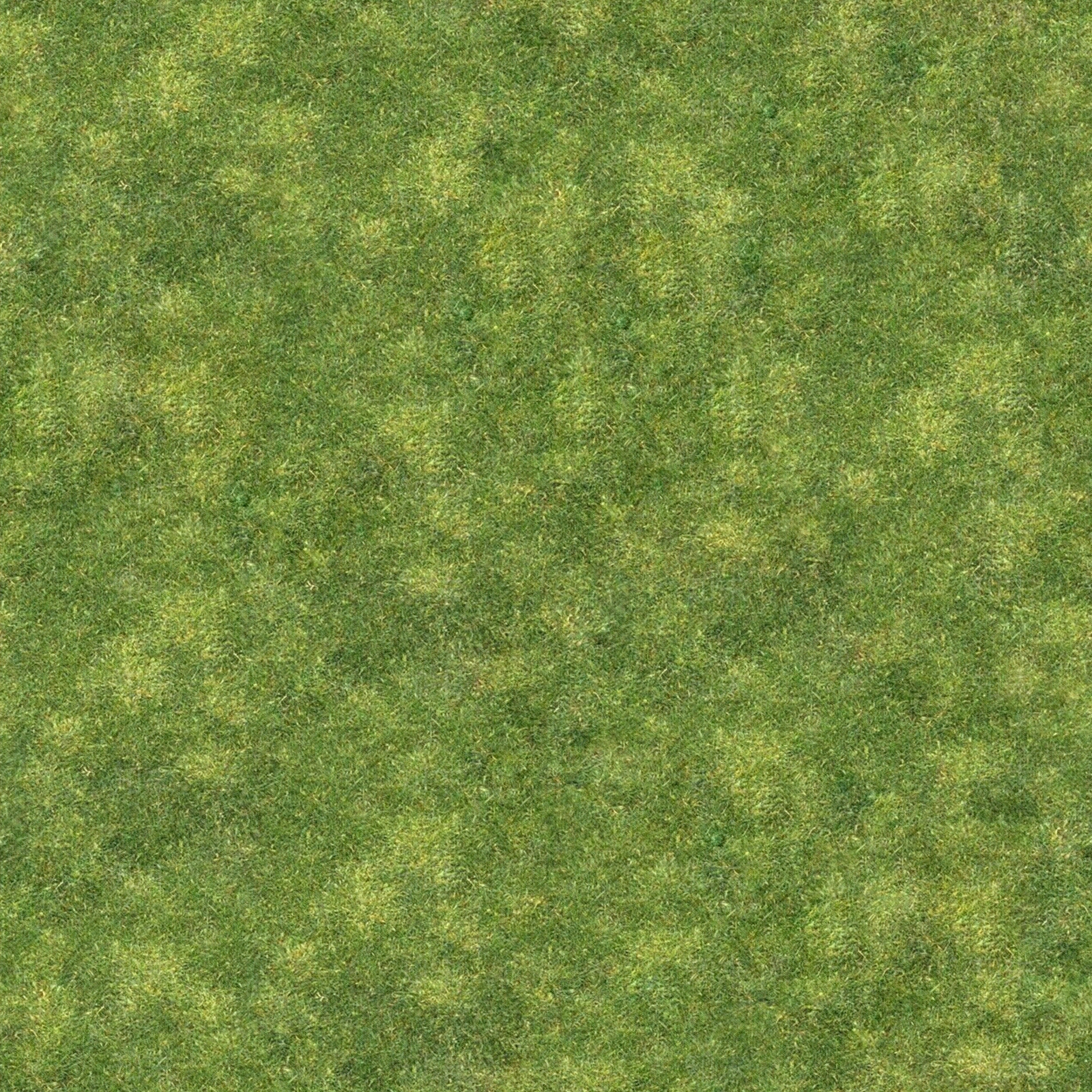 无缝青草坪贴图下载【ID:1157921595】
