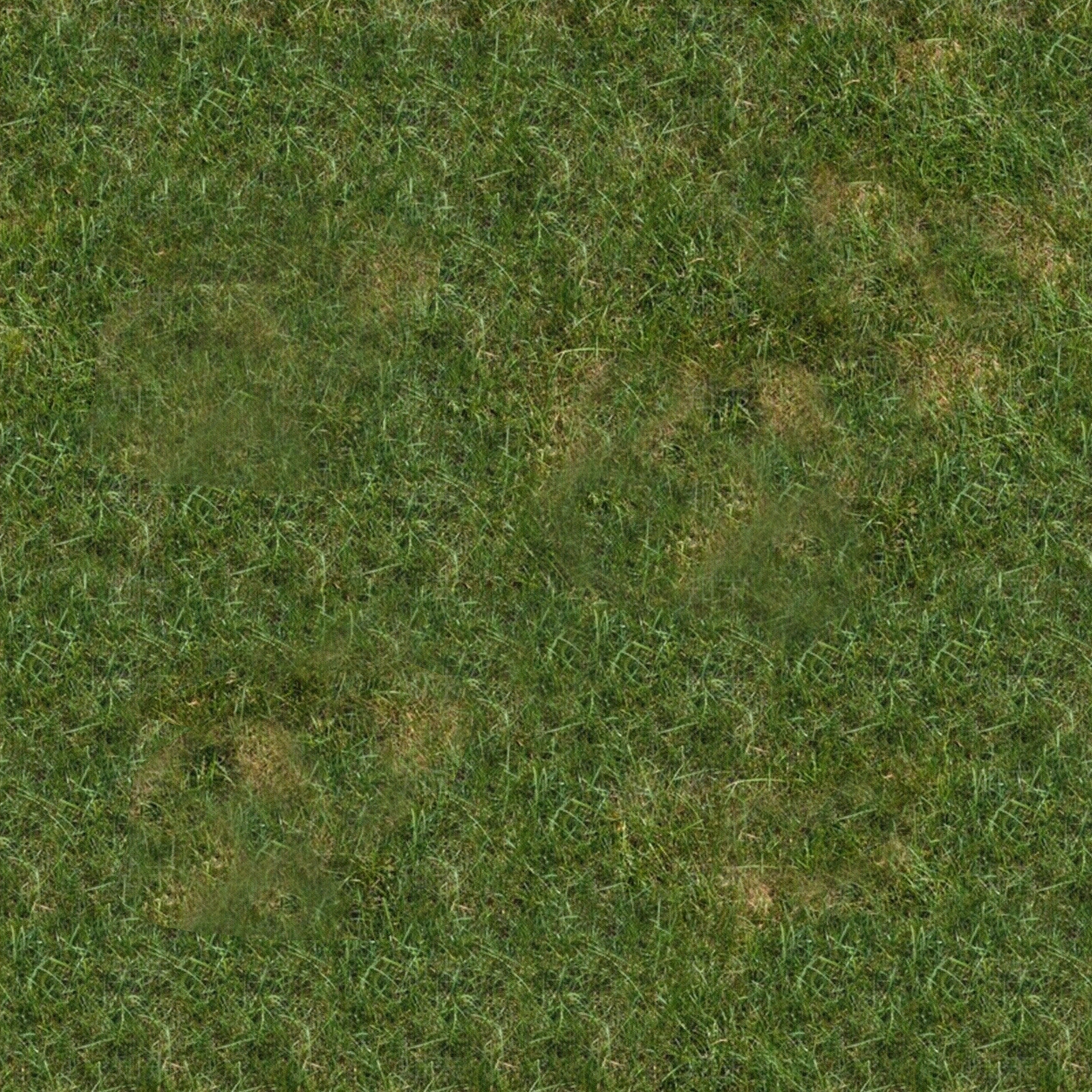 无缝青草坪贴图下载【ID:1157922159】