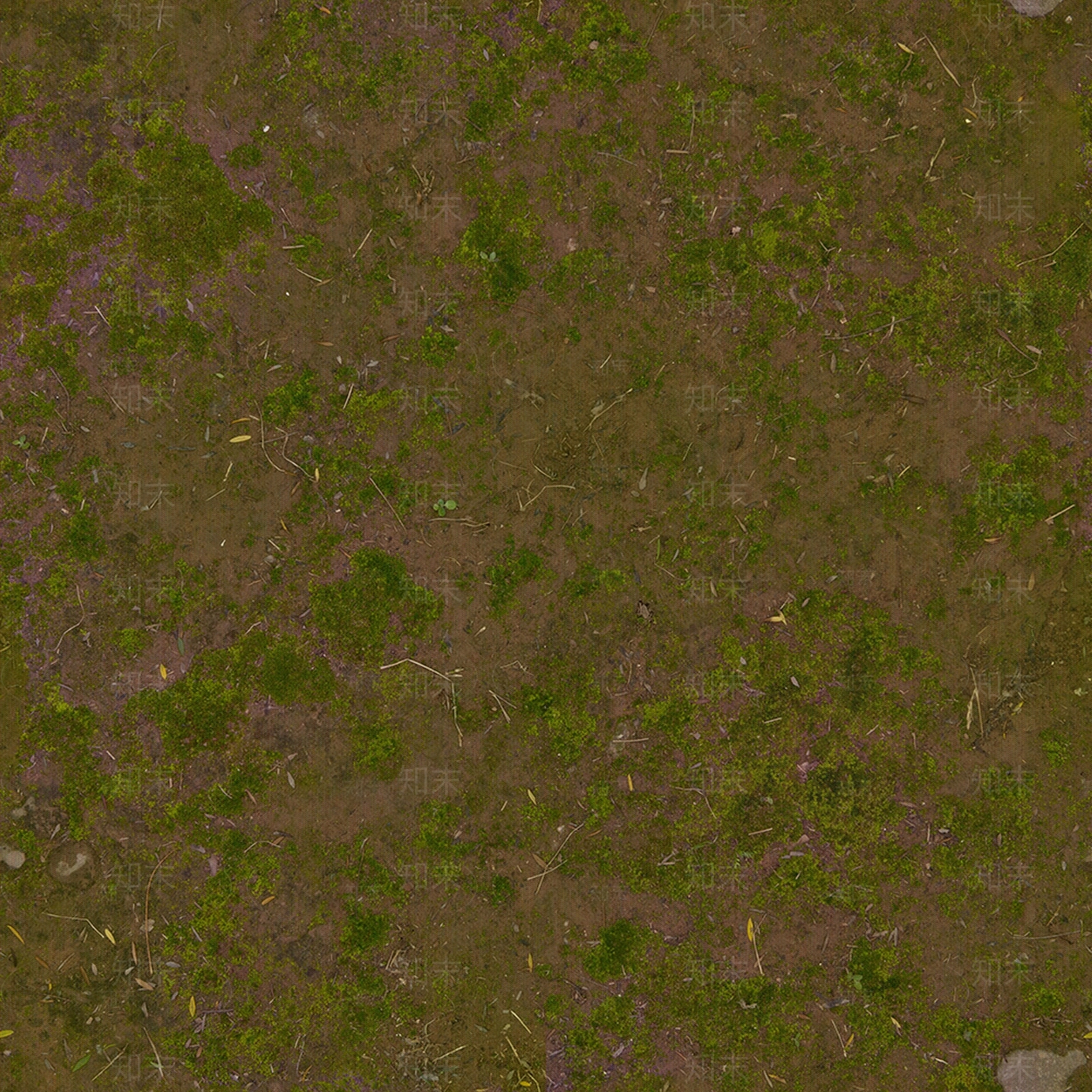 草皮青苔地面贴图下载【ID:1157943090】