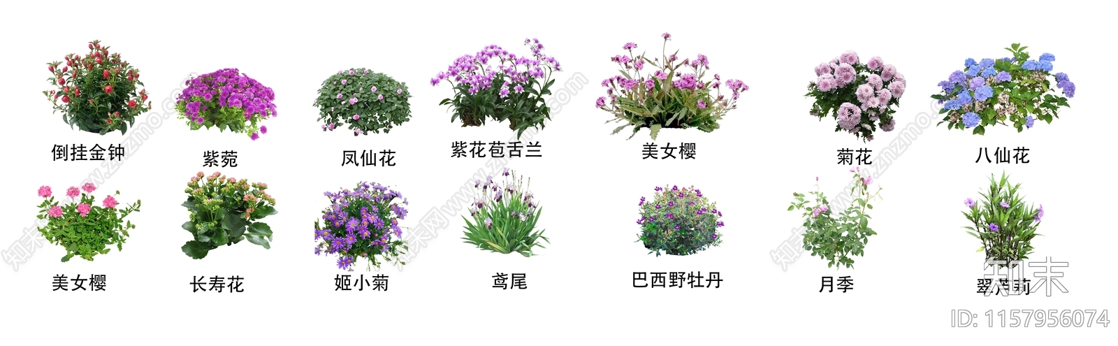 草本花卉设计素材精品下载_知末网