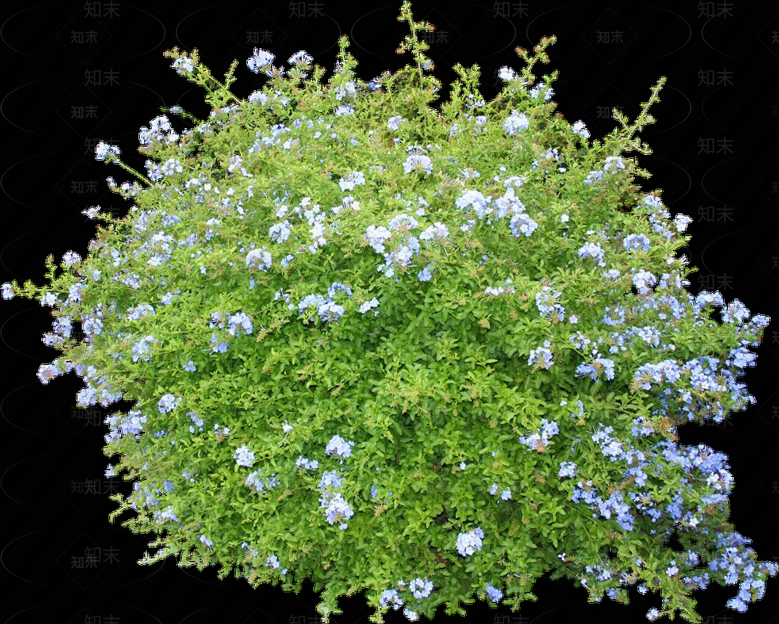 png免抠蓝雪花贴图下载【ID:1157971762】