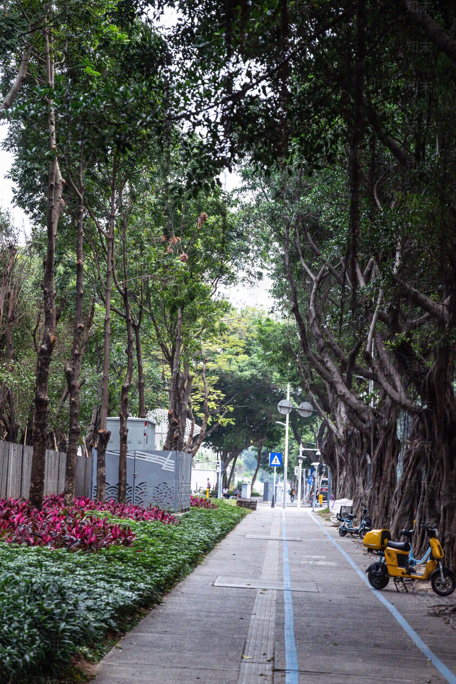 城市街道外景贴图下载【ID:1157985788】