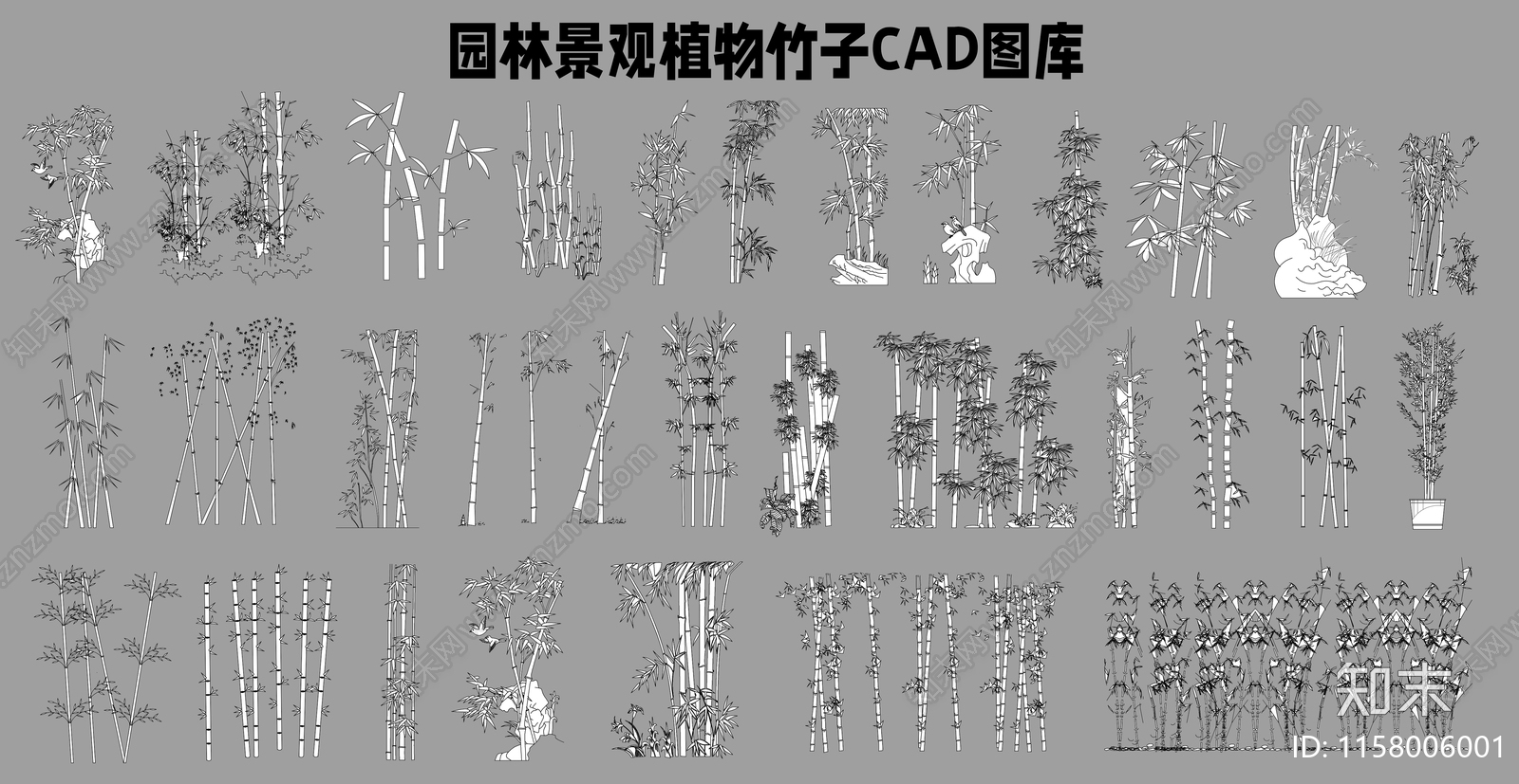 园林景观植物竹子图库施工图下载【ID:1158006001】