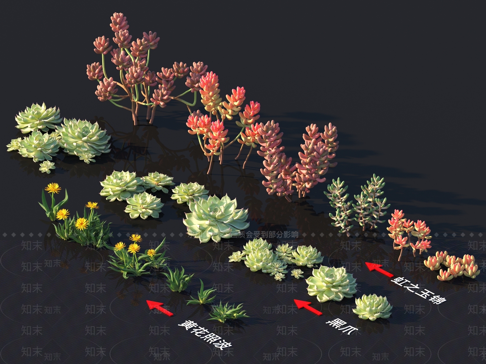 黑爪3D模型下载【ID:1158026757】