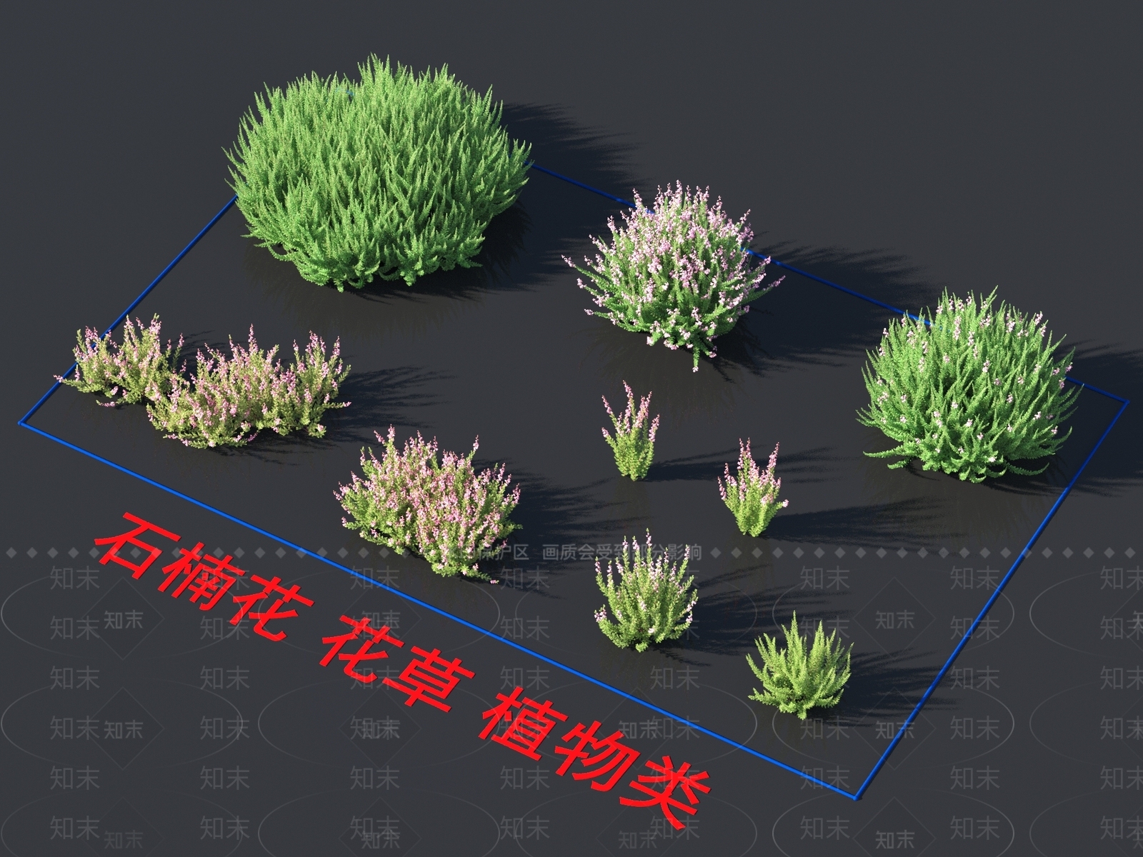 石楠花3D模型下载【ID:1158029966】