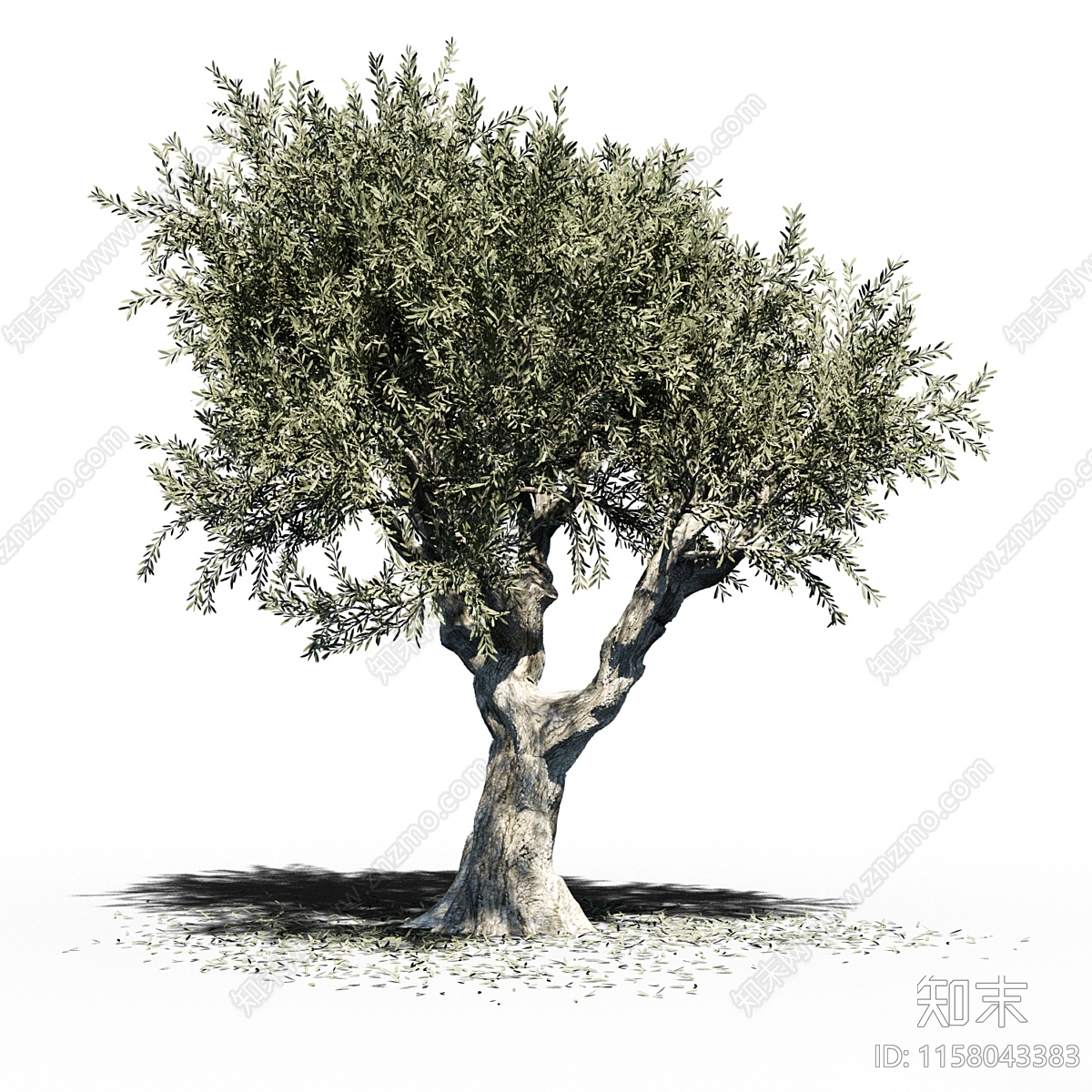 olivetree现代橄榄树3D模型下载【ID:1158043383】