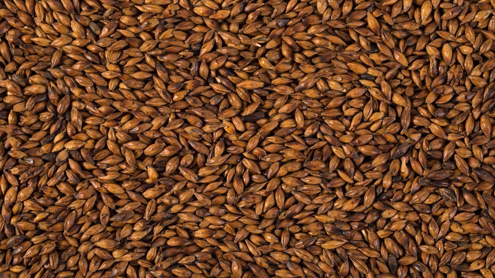 无缝大麦茶平铺特写贴图下载【ID:1158046916】