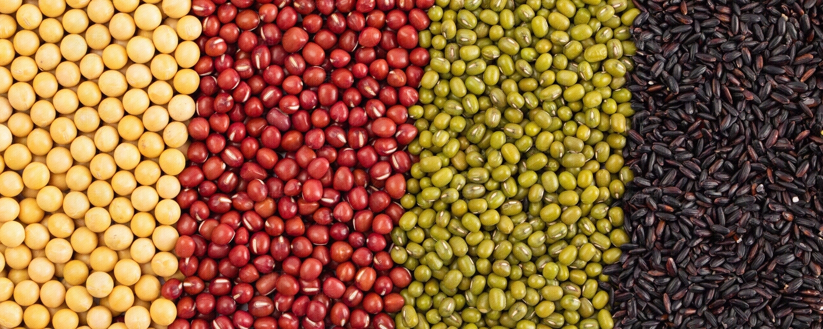 五谷杂粮平铺特写贴图下载【ID:1158047262】