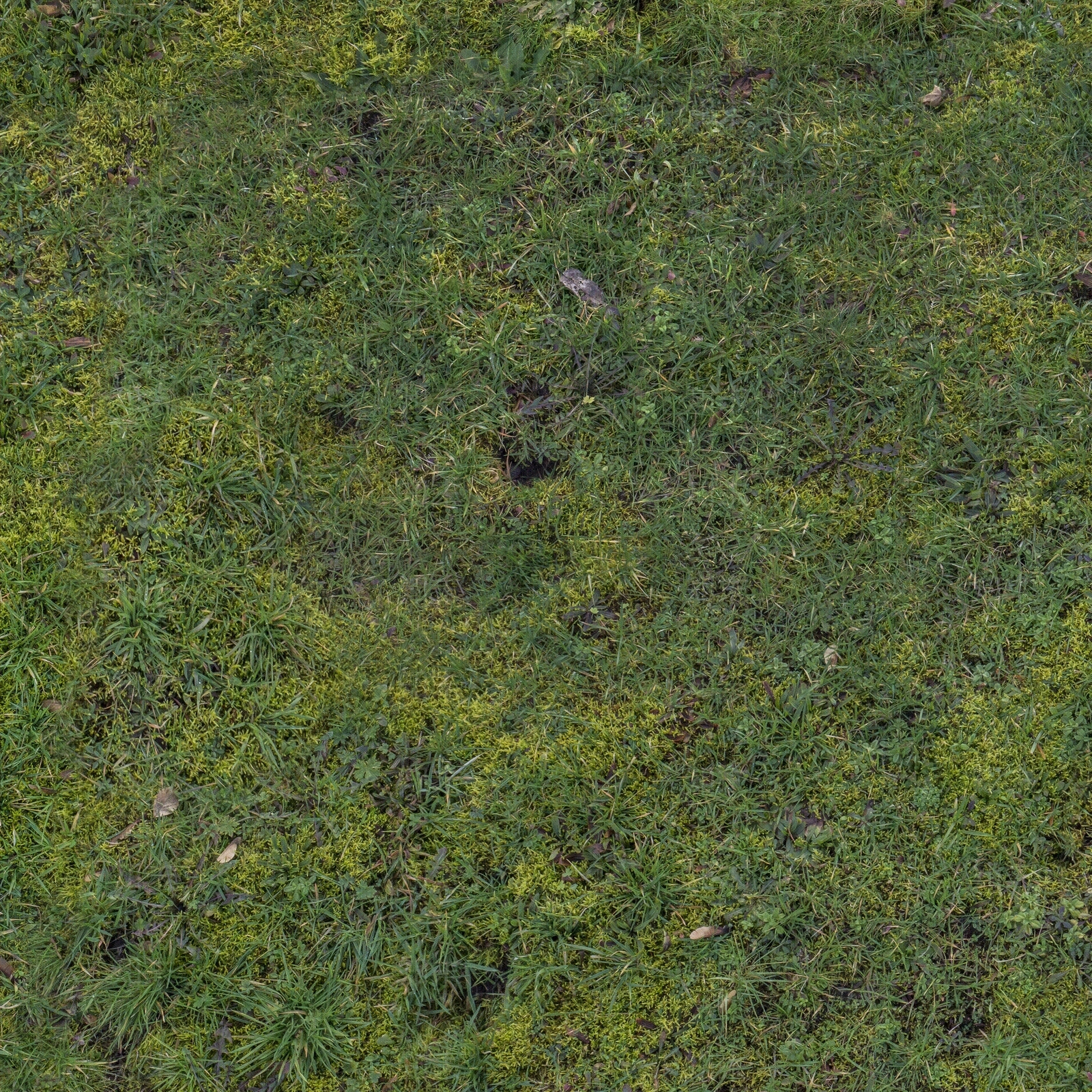 草皮地面贴图下载【ID:1158064829】
