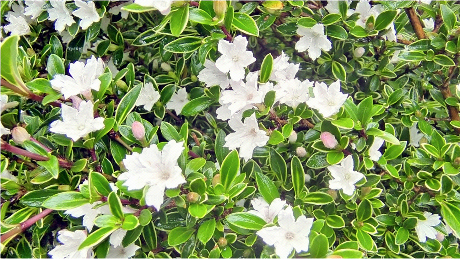 免抠素材贴图下载【ID:1158099694】