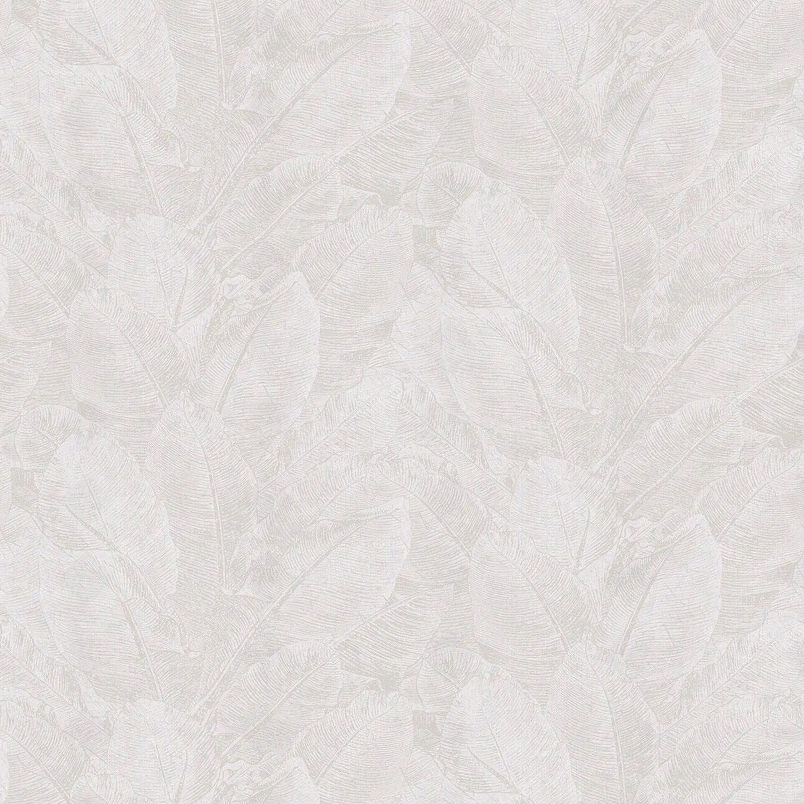 浅米色植物叶子壁纸壁布贴图下载【ID:1158105810】