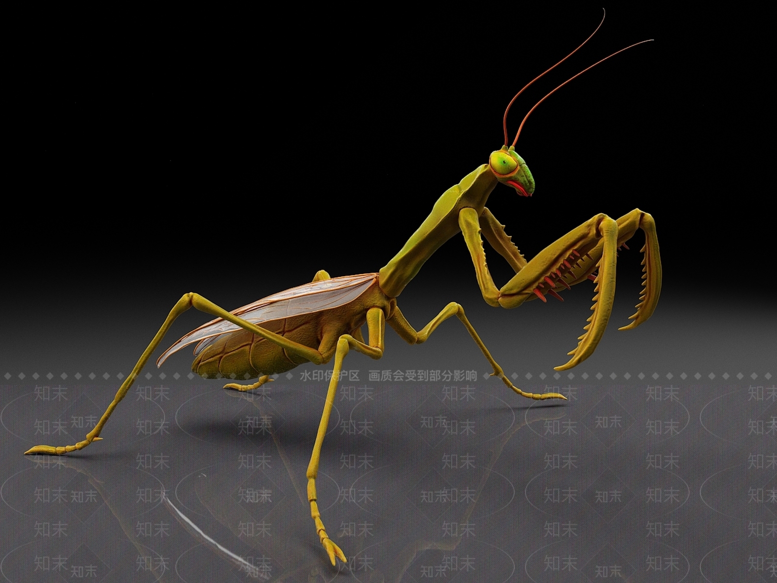 螳螂3D模型下载【ID:1158108028】