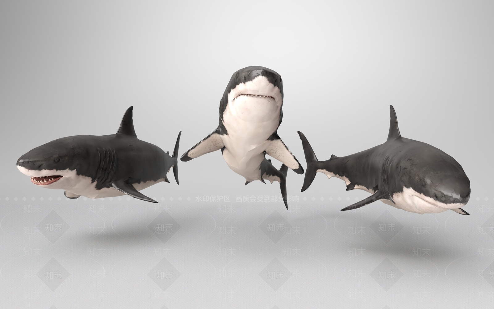 鲨鱼3D模型下载【ID:1158109800】