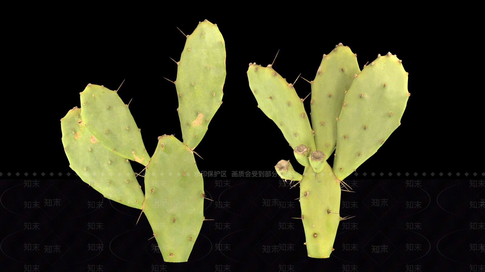 仙人掌3D模型下载【ID:1158117918】