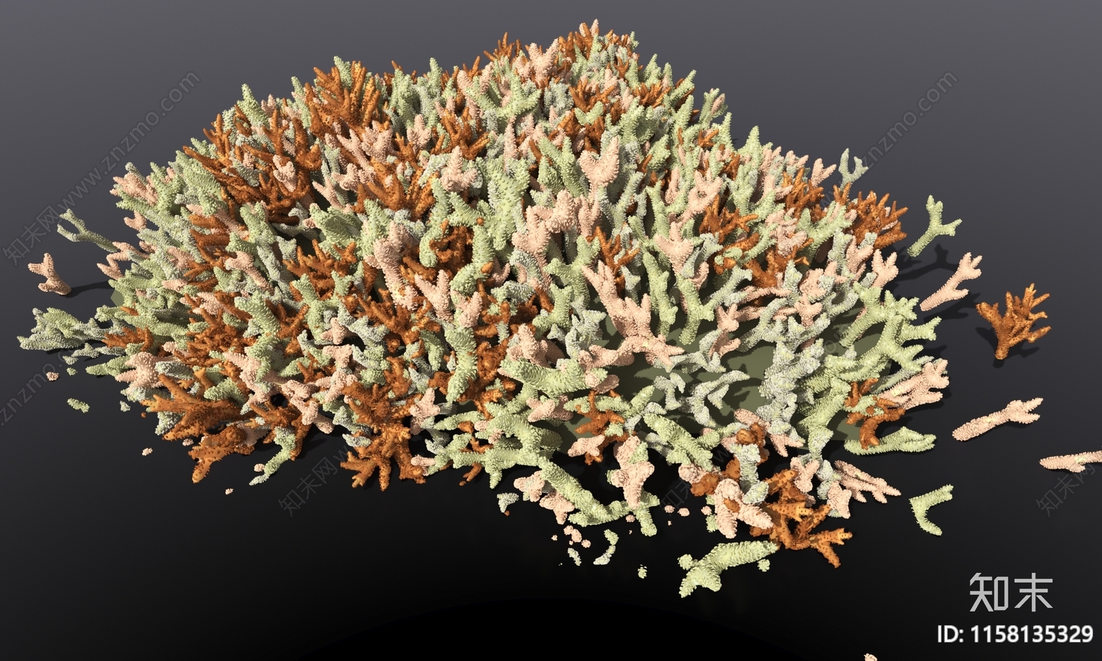 海底大片珊瑚藻类3D模型下载【ID:1158135329】