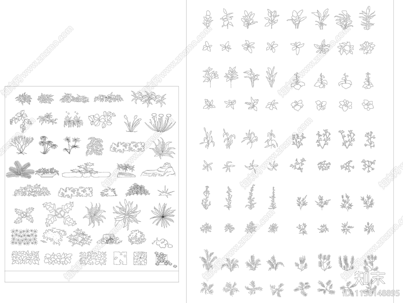 各种植物图库cad施工图下载【ID:1158148895】