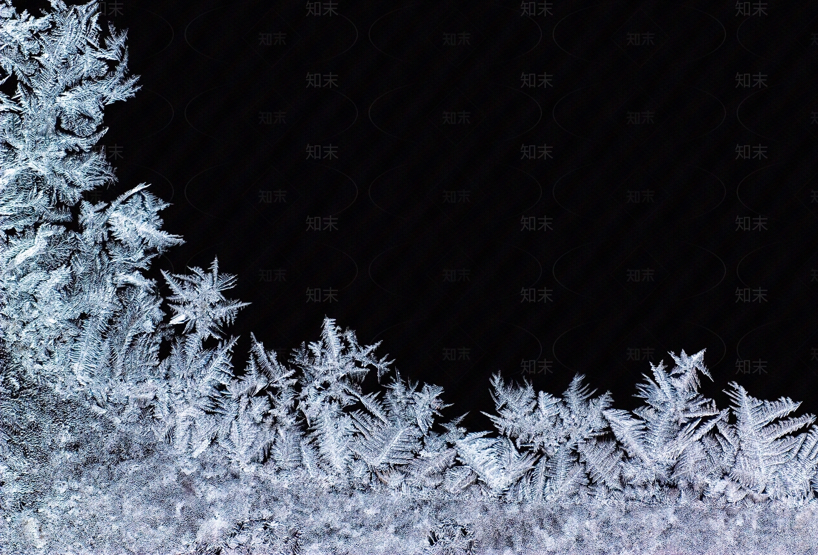 凝结的雪花贴图下载【ID:1158149475】