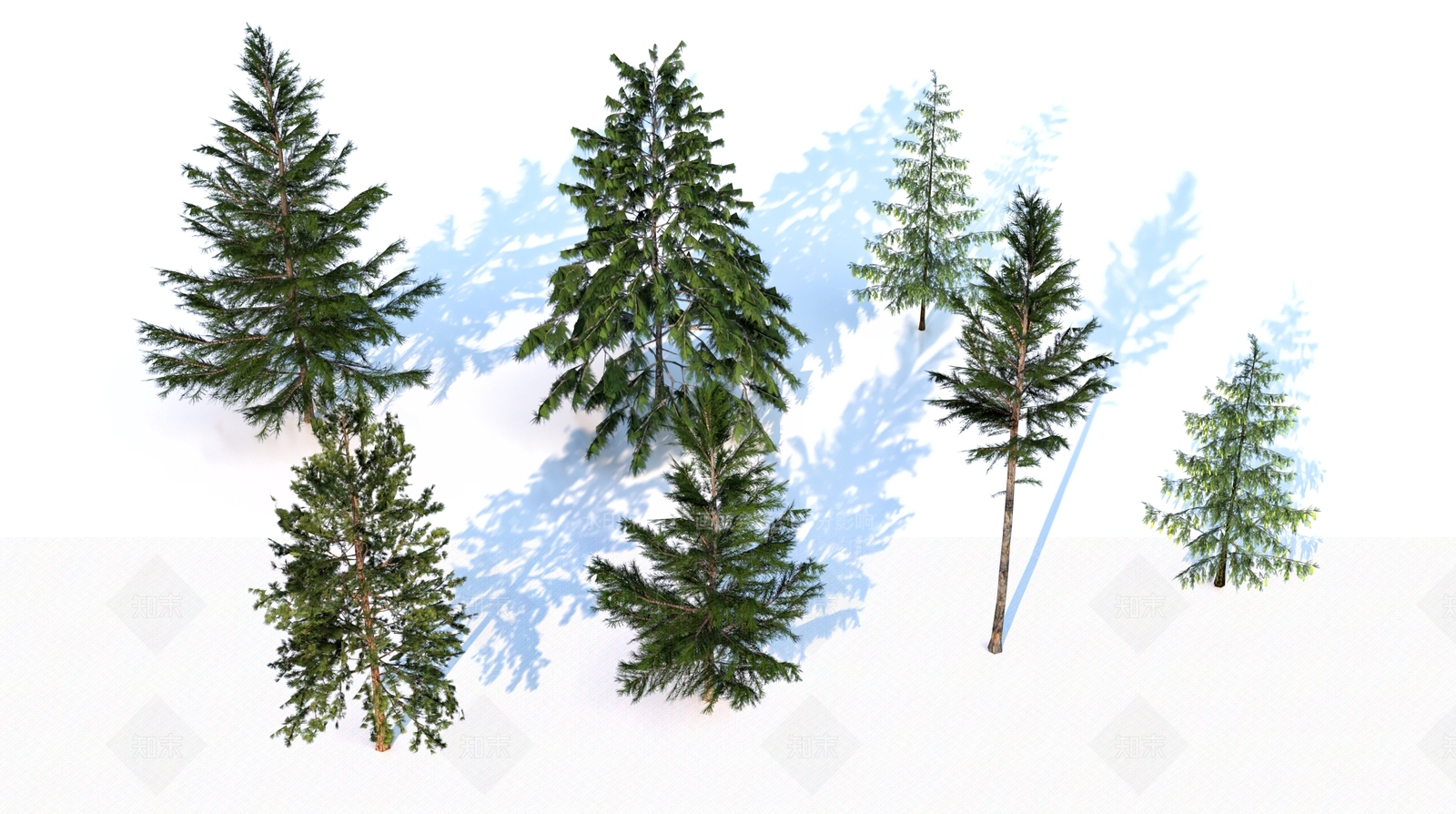 雪松松树3D模型下载【ID:1158153256】